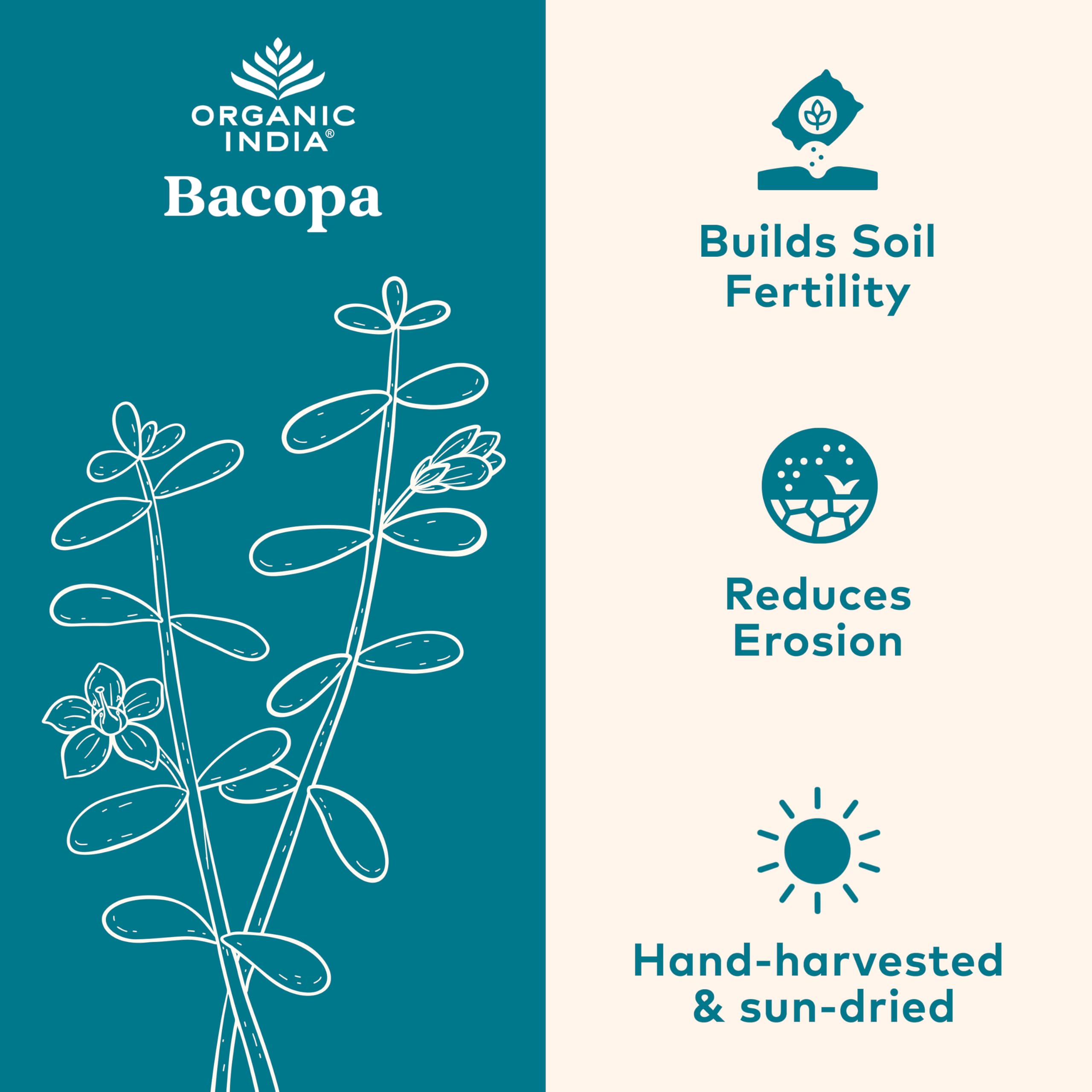 Organic India Bacopa Monnieri – Brain, Memory & Focus | 60 Vegan Capsules