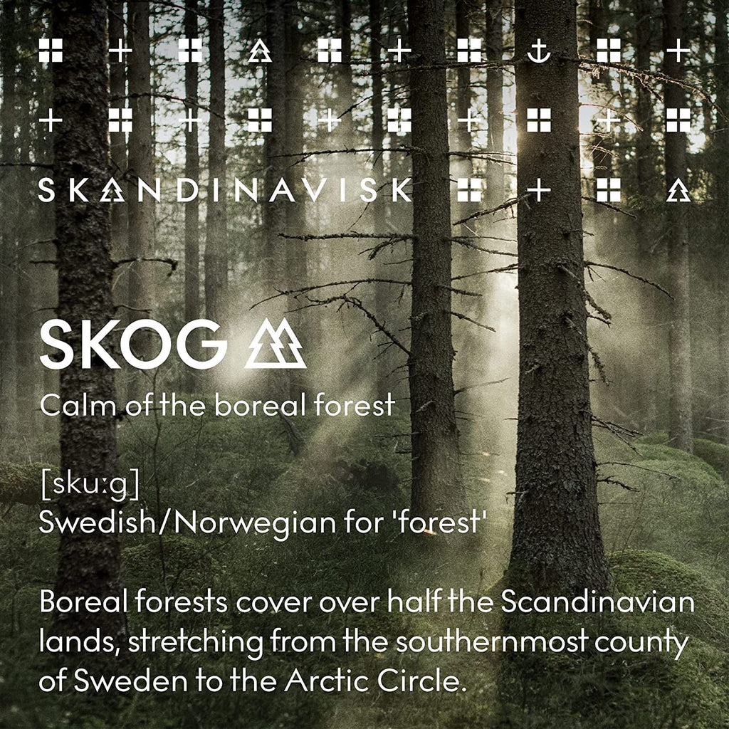 Skandinavisk Skog Forest Diffuser – 8 Reeds, 3 Months, Pine & Birch 6.75 fl oz