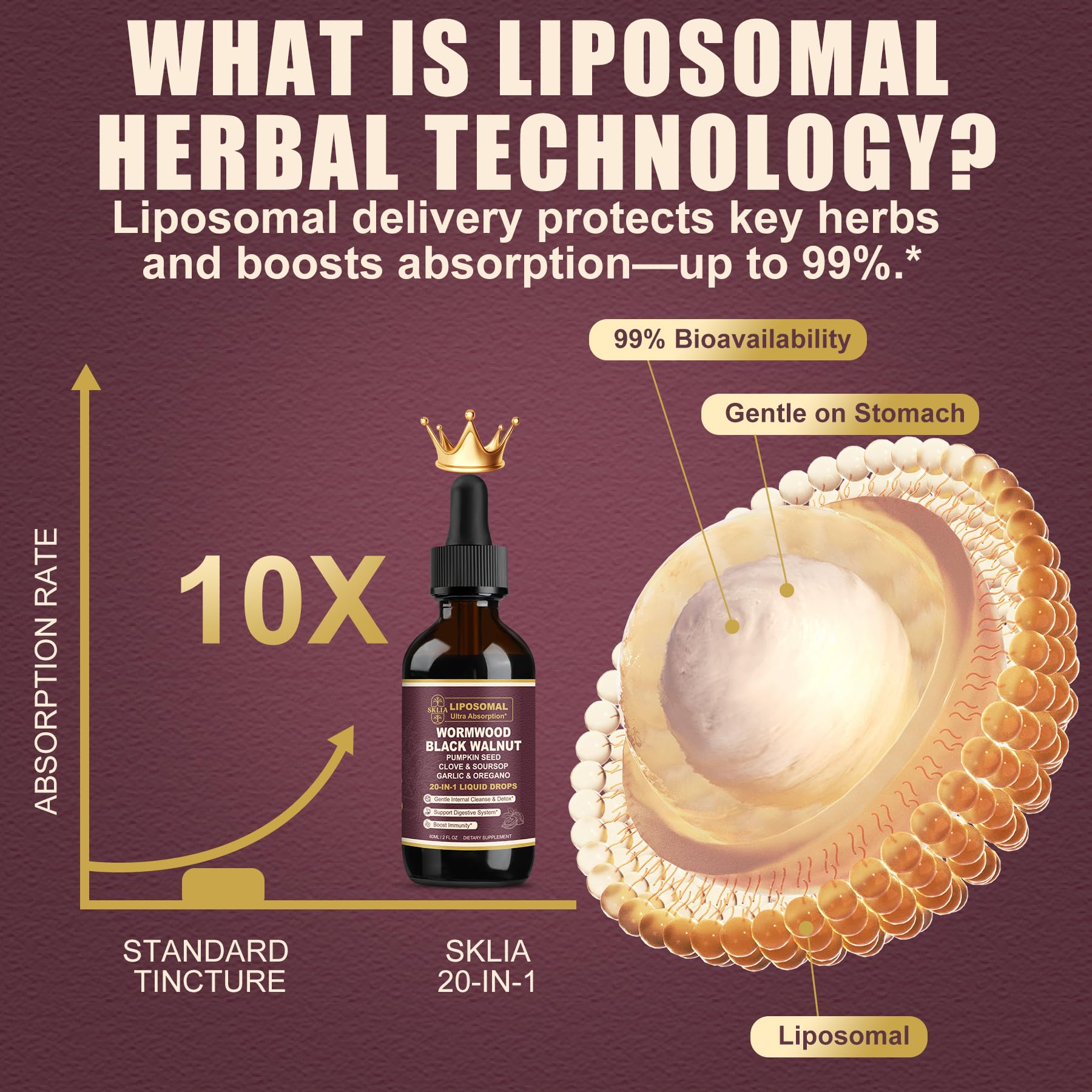 SKLIA 20-in-1 Liposomal Wormwood Cleanse Drops – Rapid Gut Cleanse & Digestive Support (2P)
