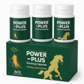 Skydia Power Plus Super - Ginseng Root Korean Red Ginseng Capsule (36 Capsule, Regular) | POWER-PLUS Botanical Blend