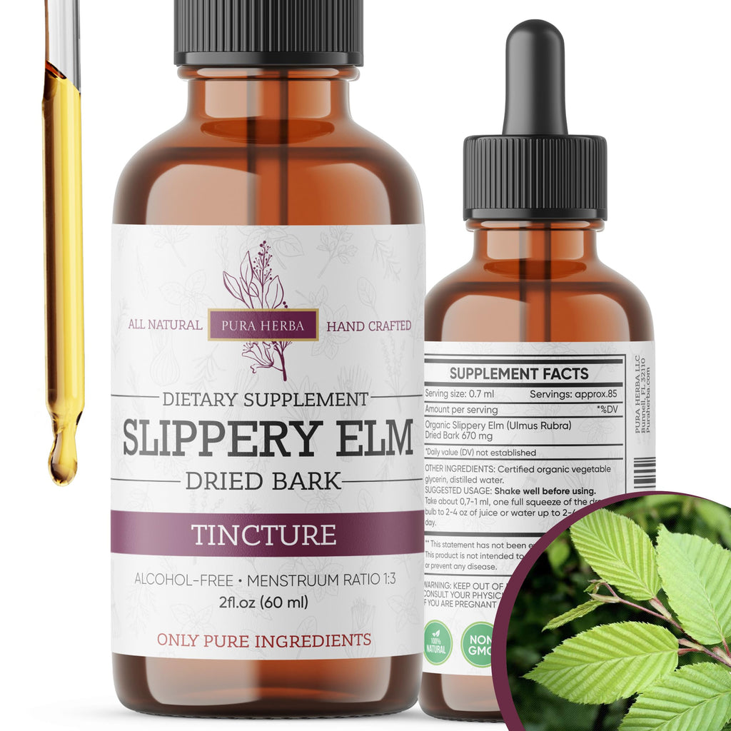 Slippery Elm Tincture – Alcohol-Free | Ulmus rubra Liquid Extract | Digestive & Throat Support | 2 oz