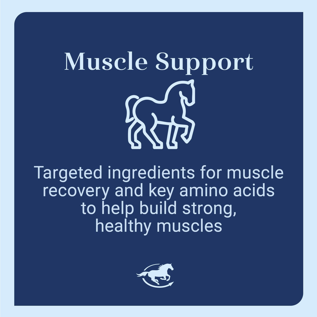 SmartEquine Acetyl L-Carnitine HCL Powder – Horse Energy & Muscle