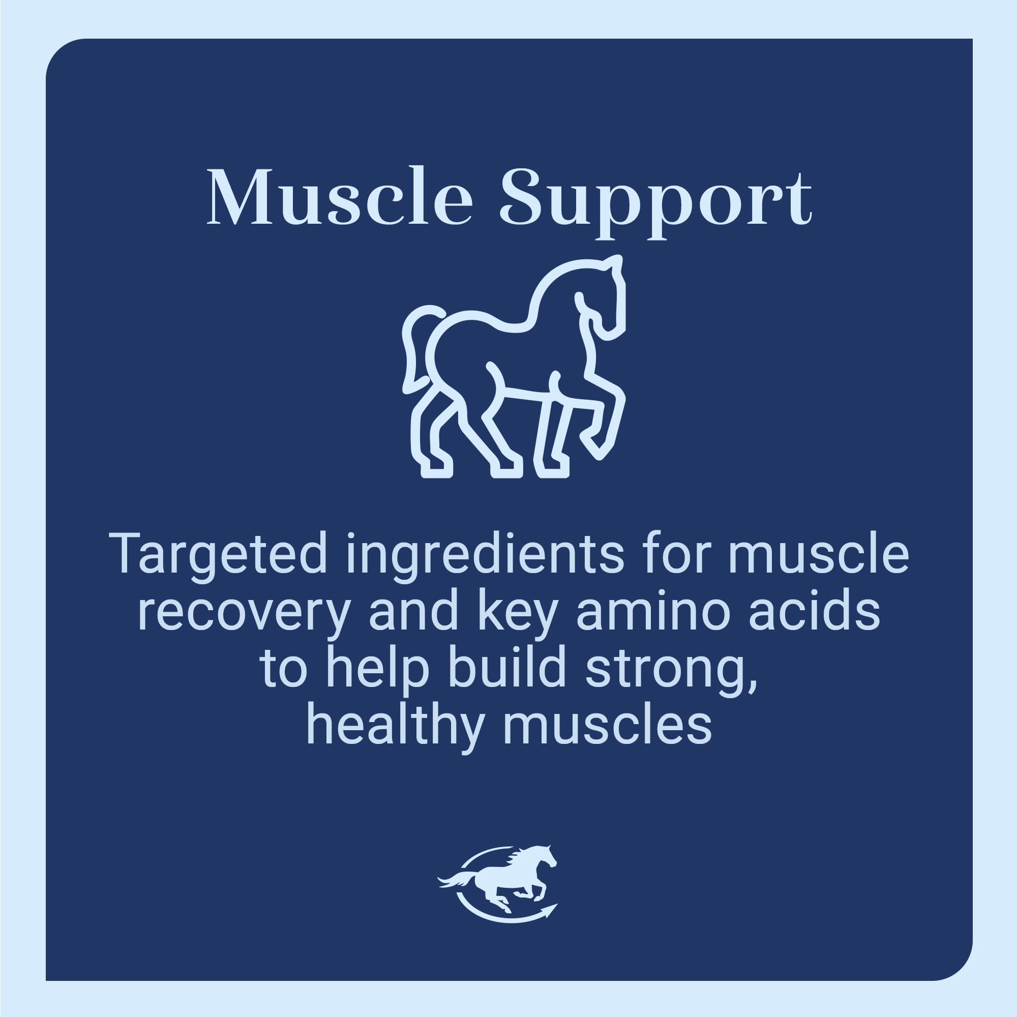 SmartEquine Acetyl L-Carnitine HCL Powder – Horse Energy & Muscle