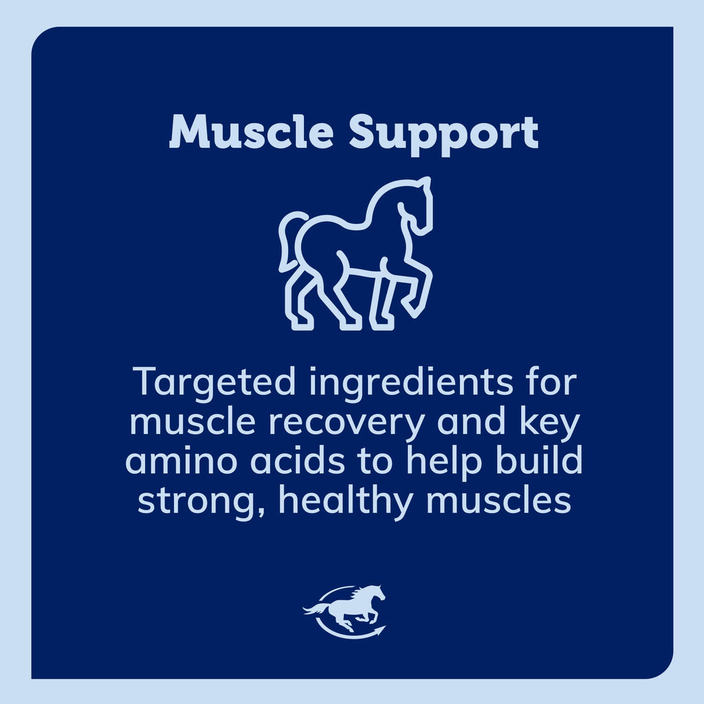 SmartEquine Acetyl L-Carnitine HCL Powder – Horse Energy & Muscle