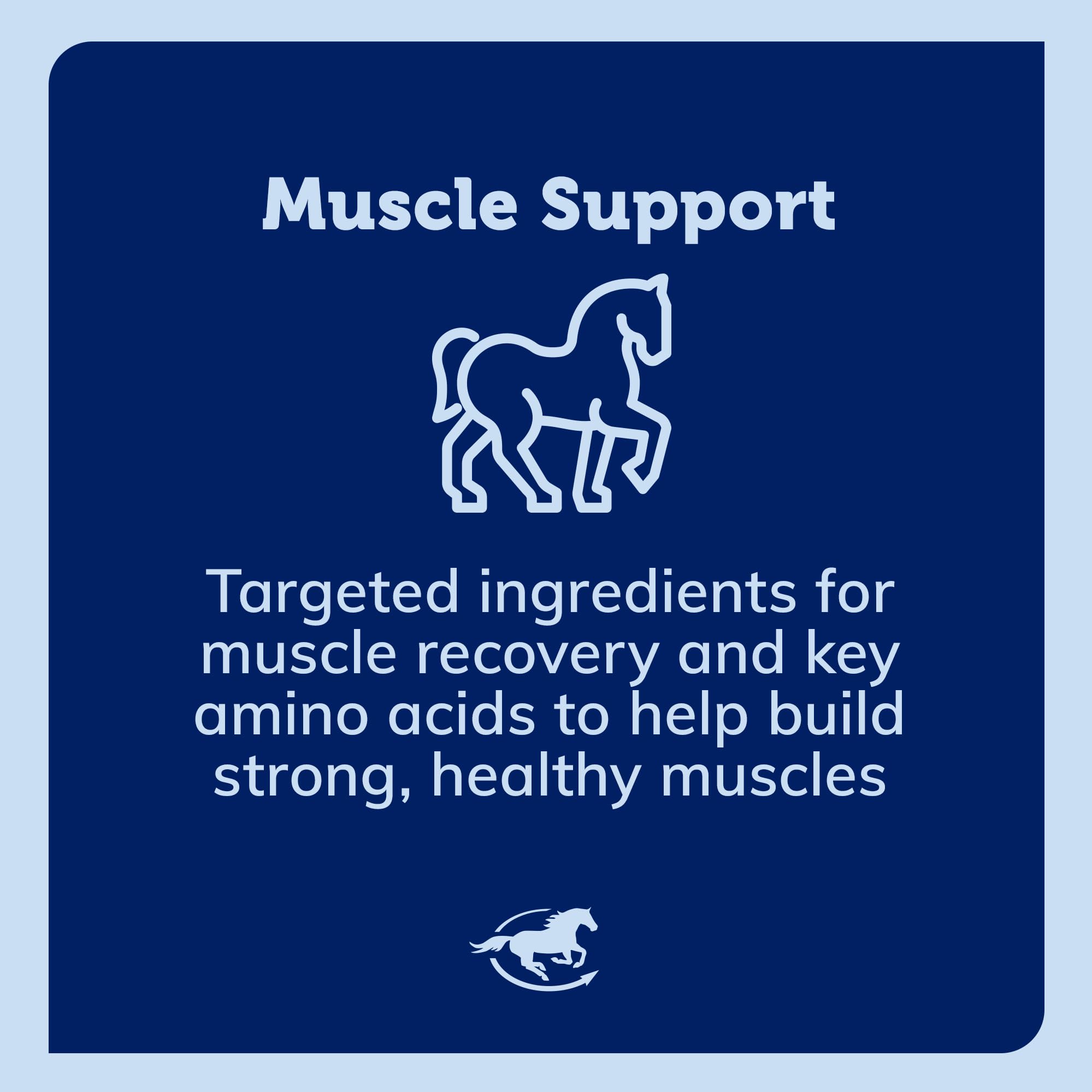 SmartEquine Acetyl L-Carnitine HCL Powder – Horse Energy & Muscle