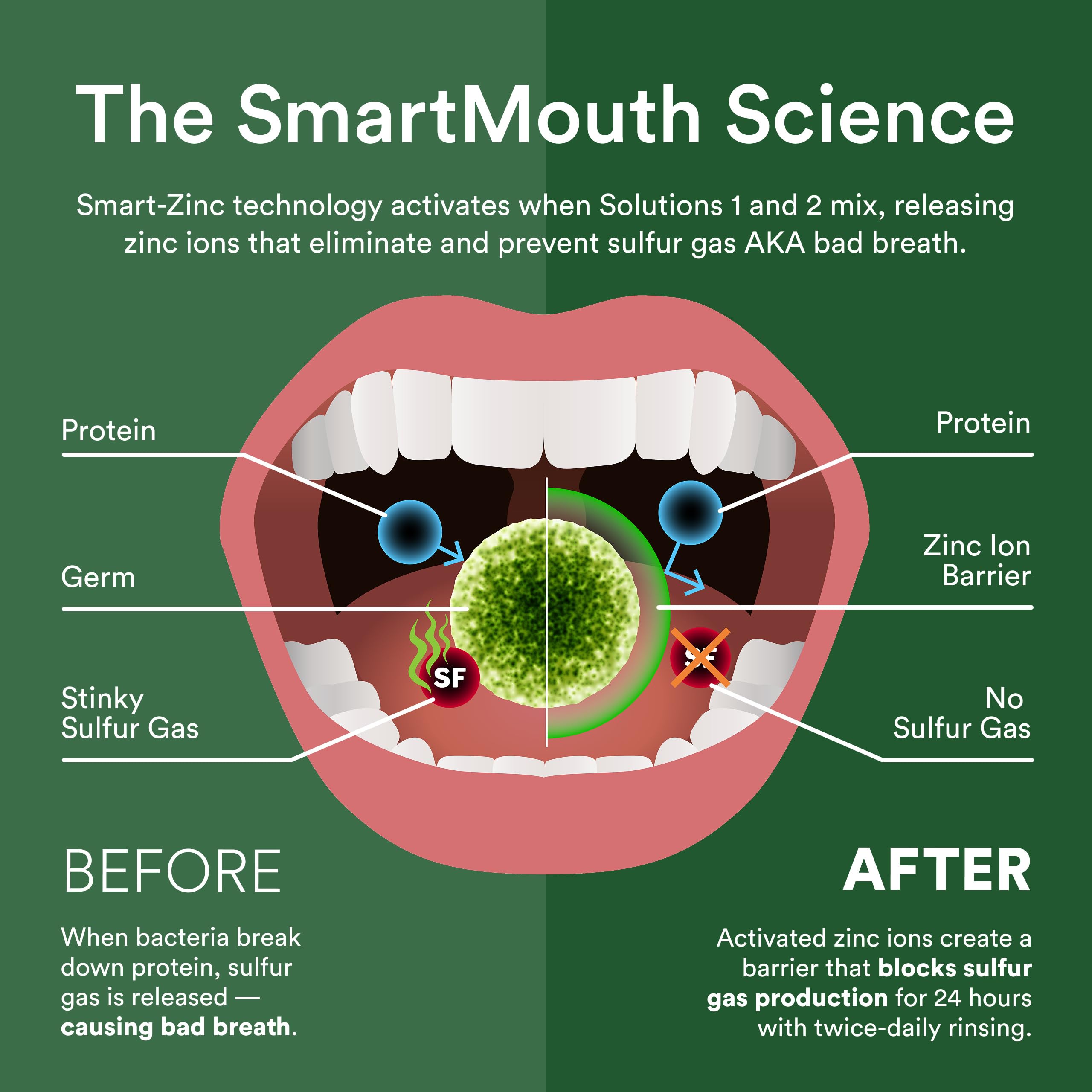 SmartMouth DDS Activated Clinical Mouthwash with Tongue Cleaner – Fresh Breath, Gum Health, 16 oz