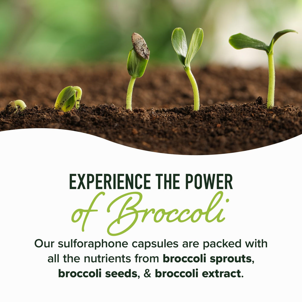 SMNutrition 50MG Sulforaphane Supplement from Broccoli Sprouts | NRF2 Activation & Immune Support