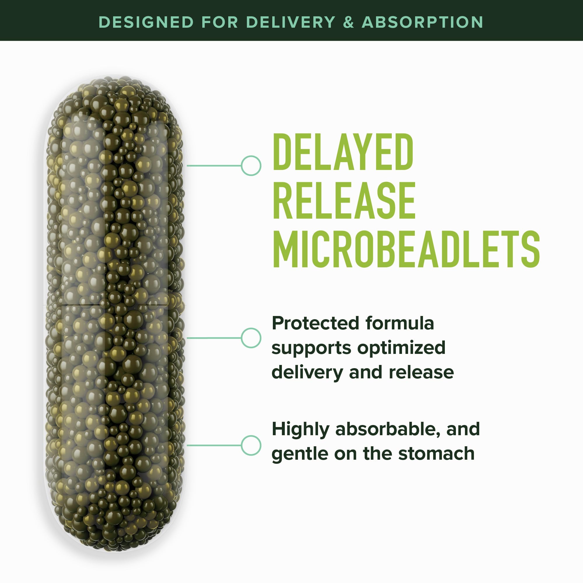 SMNutrition 50MG Sulforaphane Supplement from Broccoli Sprouts | NRF2 Activation & Immune Support