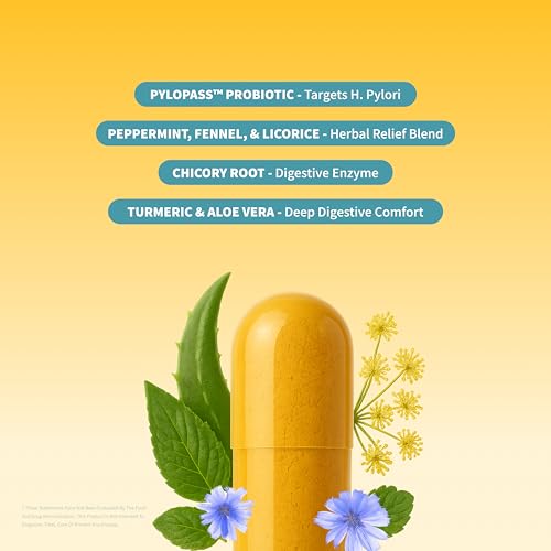 SNAP Gut Health Supplement — Turmeric, Aloe & Pylopass Probiotics | 50 Caps
