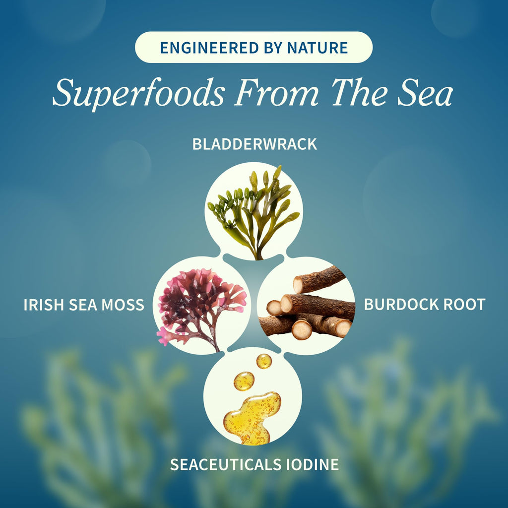 Irish Sea Moss with Bladderwrack & Iodine – Immune & Skin Support