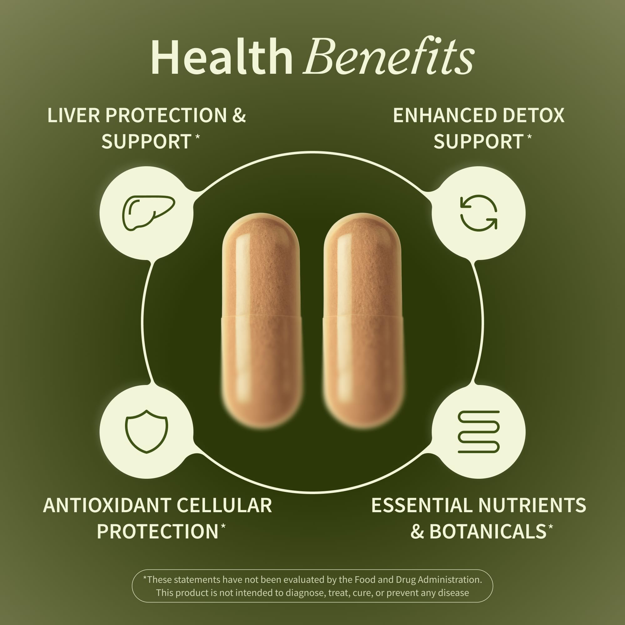 Snap Supplements Liver Health & Detox – 60 Vegetarian Capsules | Liver & Digestive Support