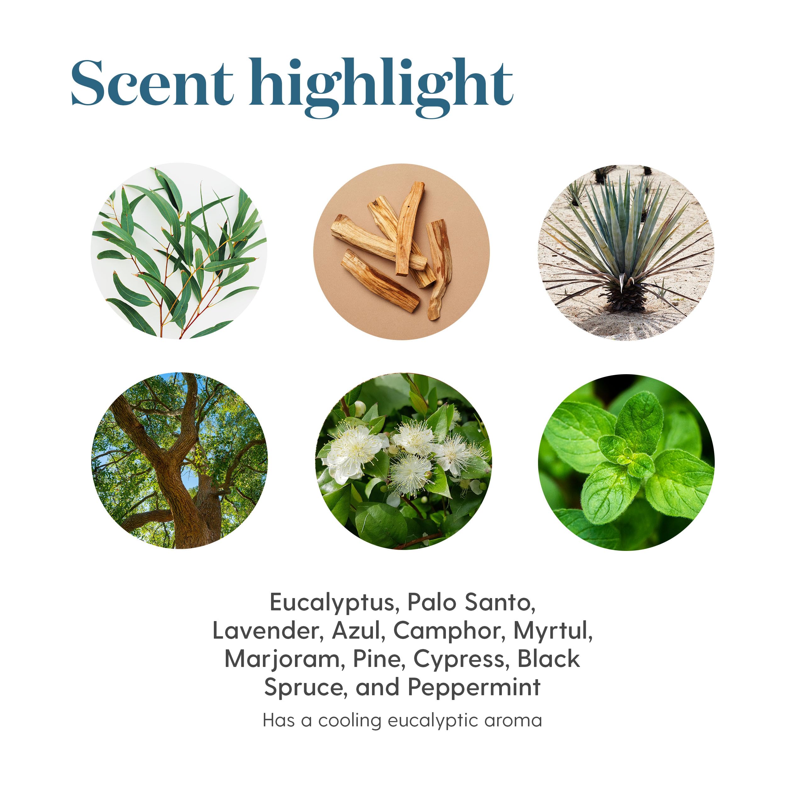 KidScents SniffleEase 5ml – Pre-Diluted Kids Essential Oil (Eucalyptus, Myrtle & Pine)