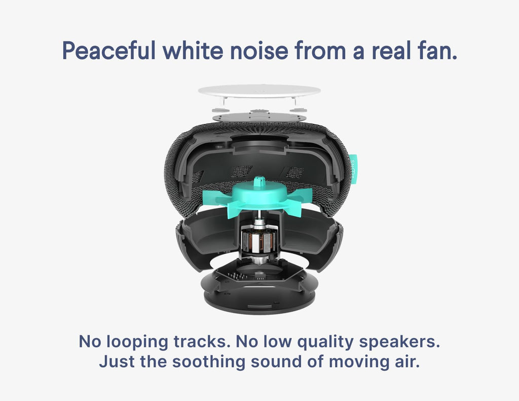 SNOOZ Smart White Noise Machine – Real Fan Inside, Non-Looping Sleep Aid (Charcoal)