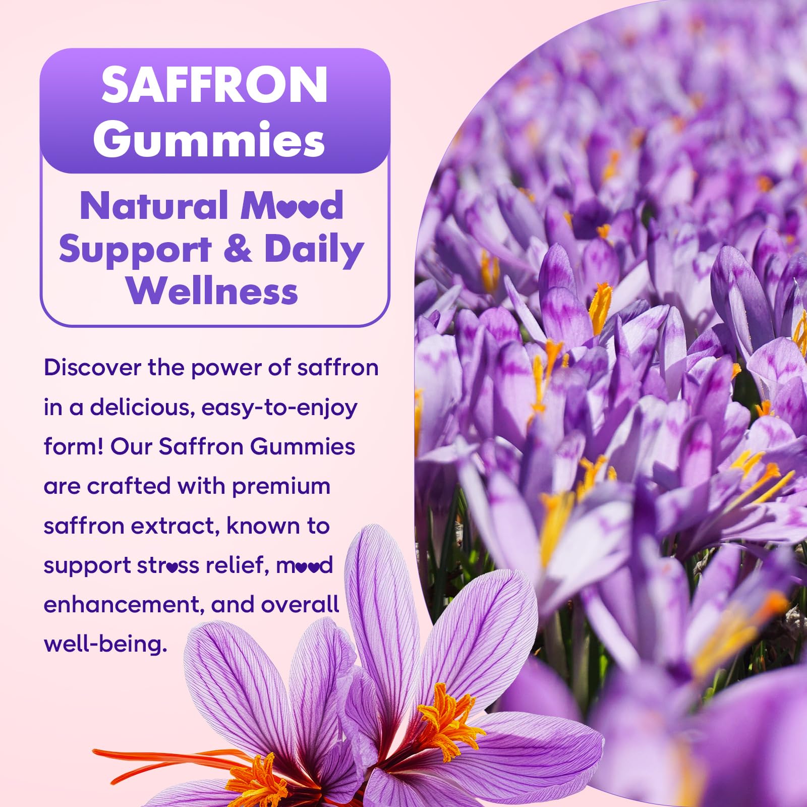 Softbear Saffron Gummies for Kids & Adults – 10-in-1 Organic Saffron, 88.5mg, Sugar Free, Non-GMO, Strawberry, 60 Count