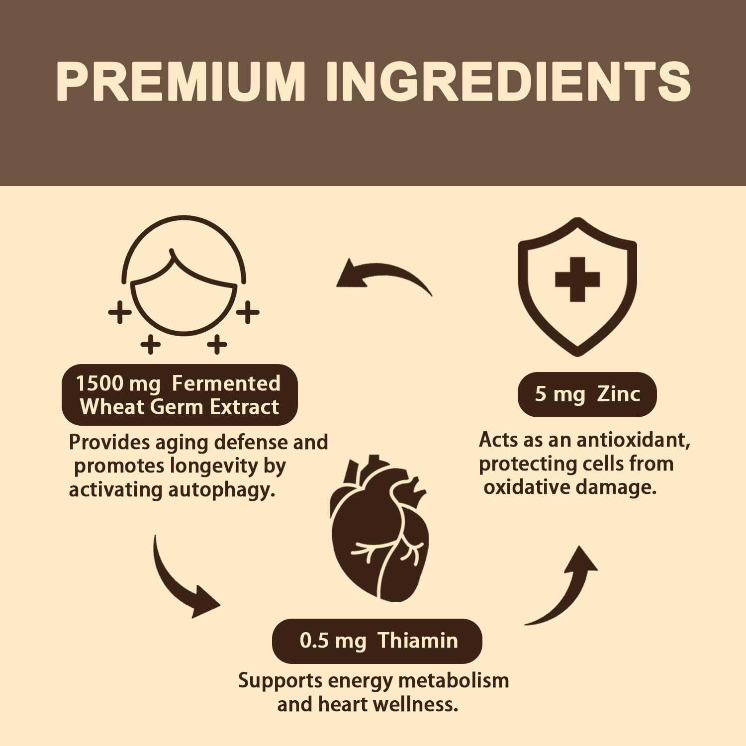 Sohahila Spermidine Supplement 15 MG – Liposomal, 99% Purity, 180 Softgels with Fermented Wheat Germ Extract