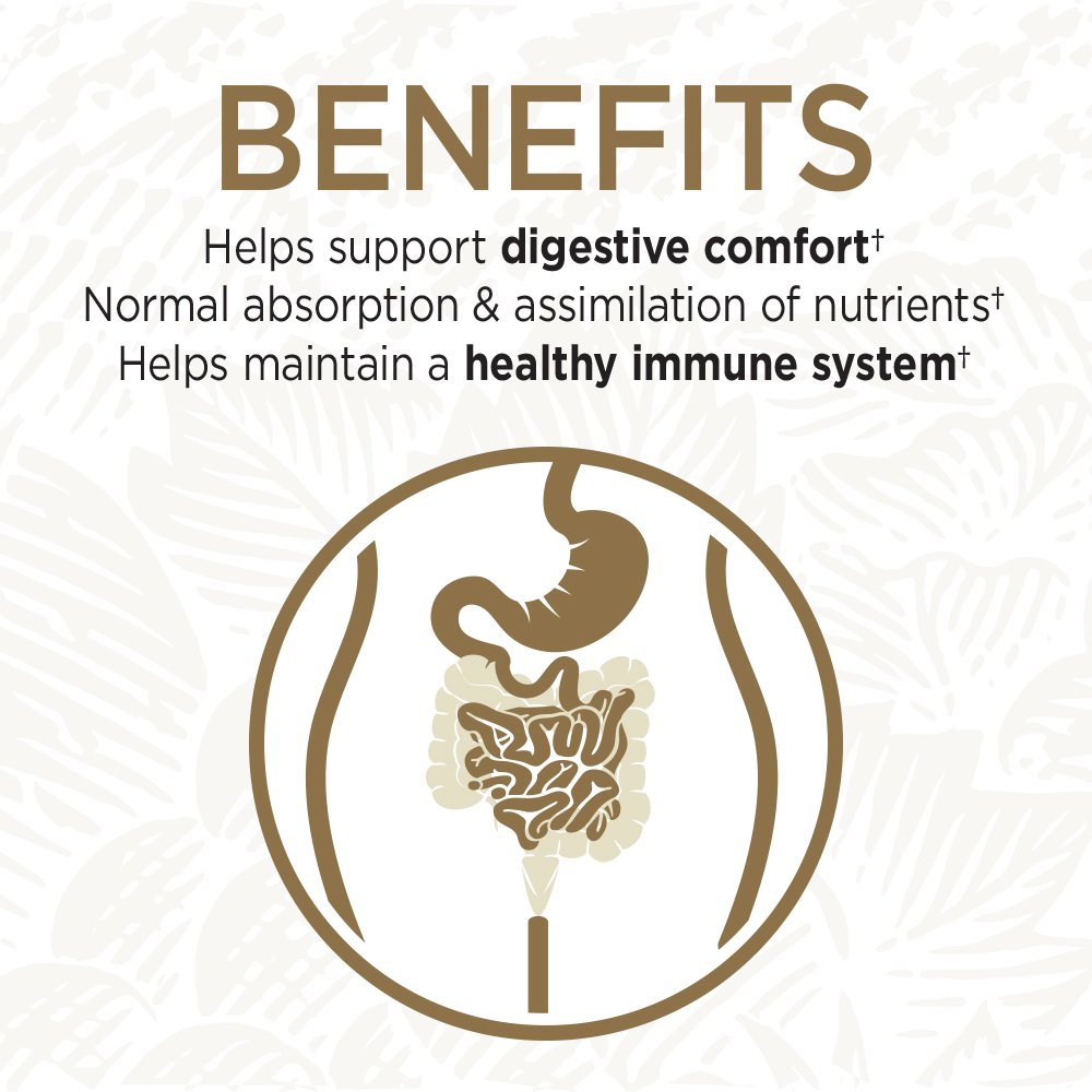 Garden of Life Primal Defense Ultra Probiotics – 15B CFU, 13 Strains, HSO, Vegetarian, 60 Capsules