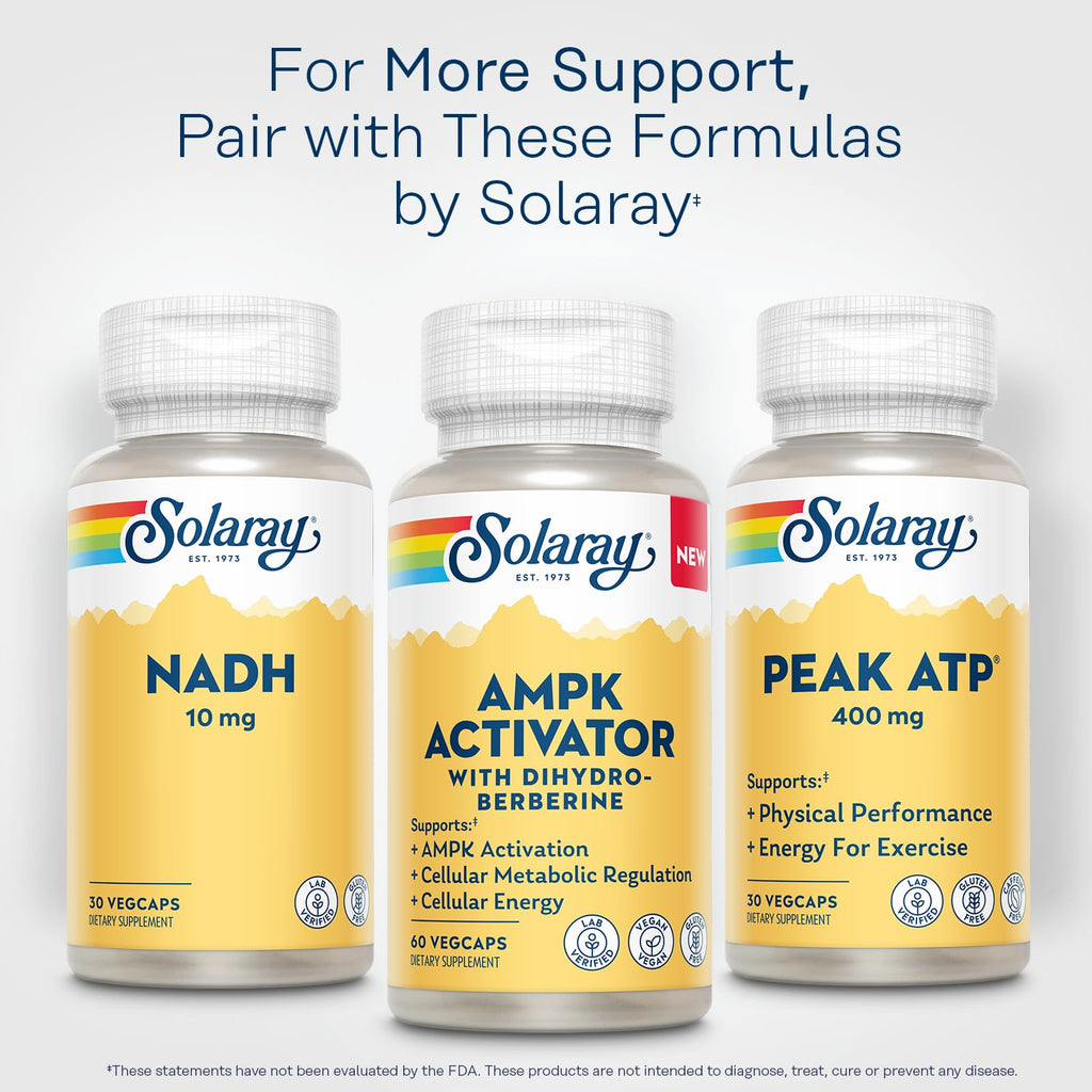 Solaray AMPK Activator Plus Dihydroberberine – Clinically Backed Ingredient – Advanced Berberine Supplement – Cellular Energy and Metabolism Support – 60-Day Guarantee – 60 VegCaps