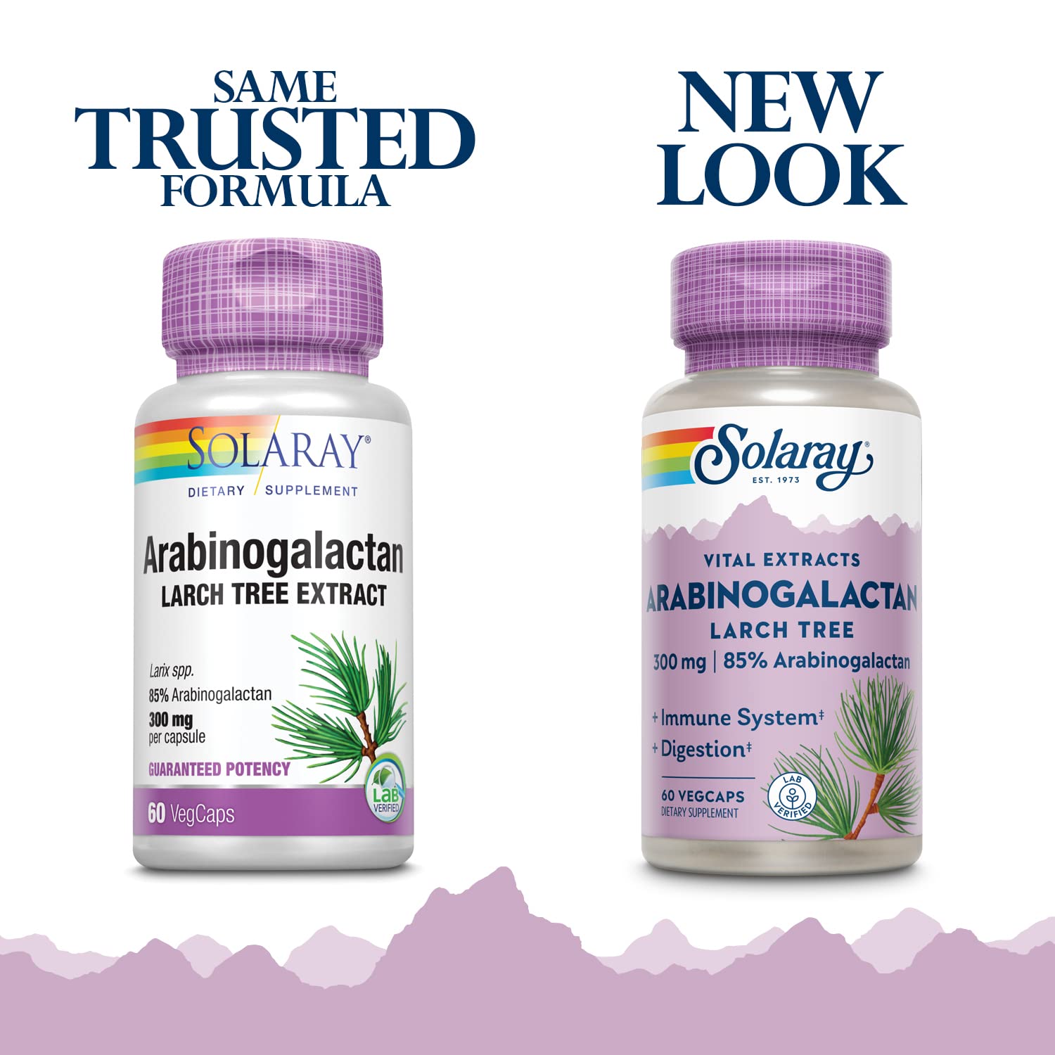 SOLARAY Arabinogalactan 300mg | Larch Tree Prebiotic Fiber | 60 VegCaps