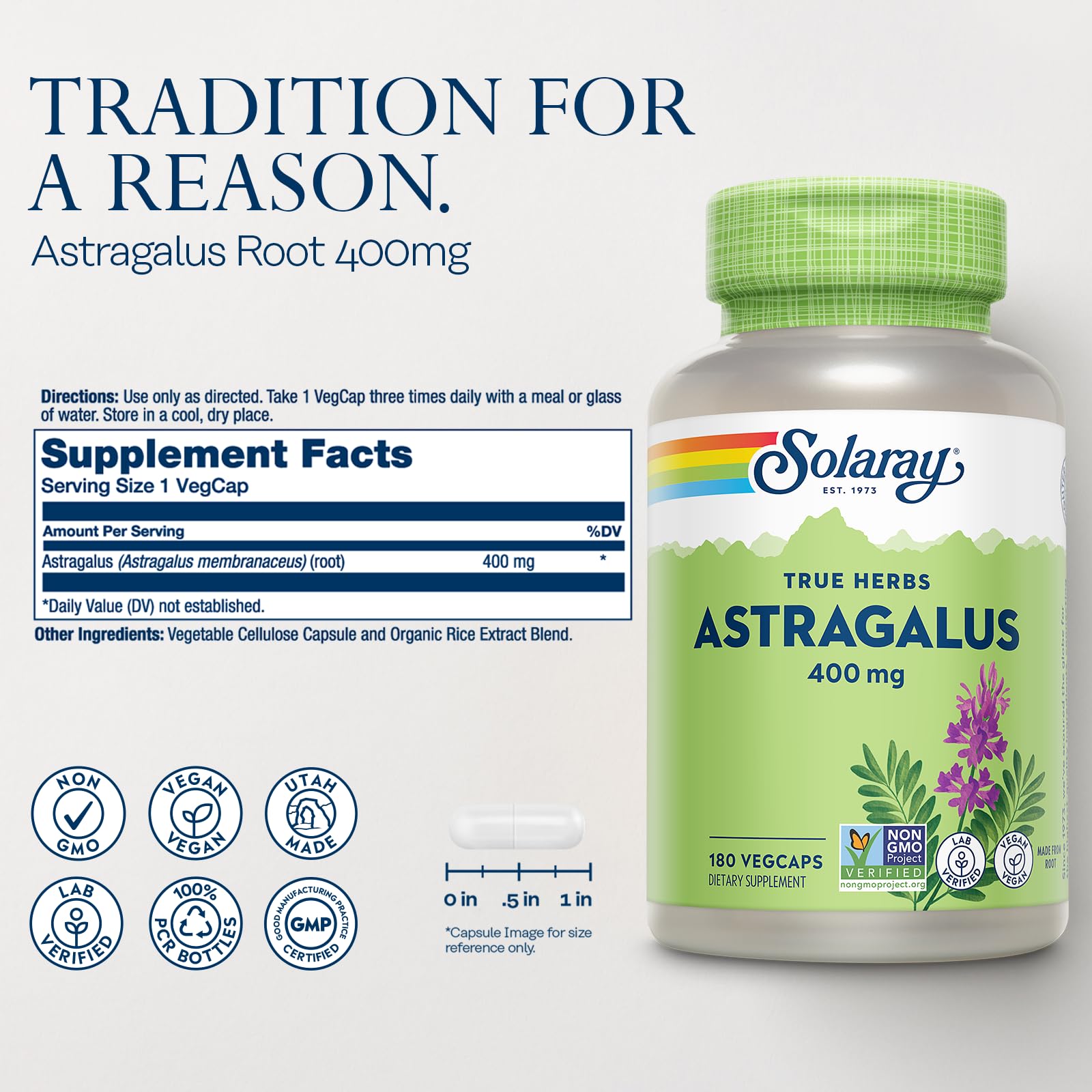SOLARAY Astragalus Root 400mg – Traditional Herbal Support – 180 VegCaps | Non-GMO & Vegan