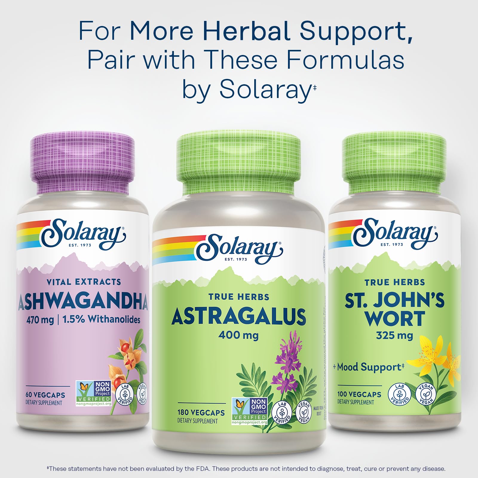 SOLARAY Astragalus Root 400mg – Traditional Herbal Support – 180 VegCaps | Non-GMO & Vegan