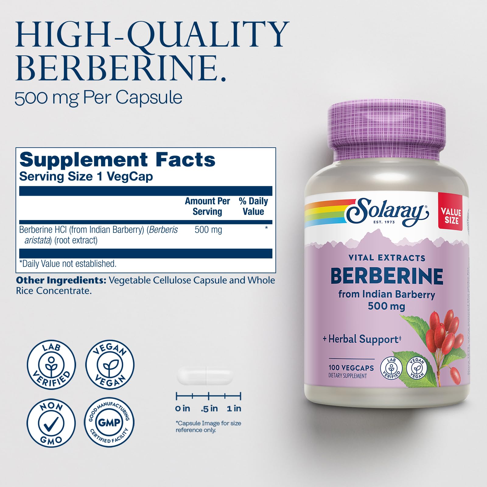 SOLARAY Berberine 500mg – Berberine HCl from Indian Barberry, Vegan, Non-GMO, 100 Servings