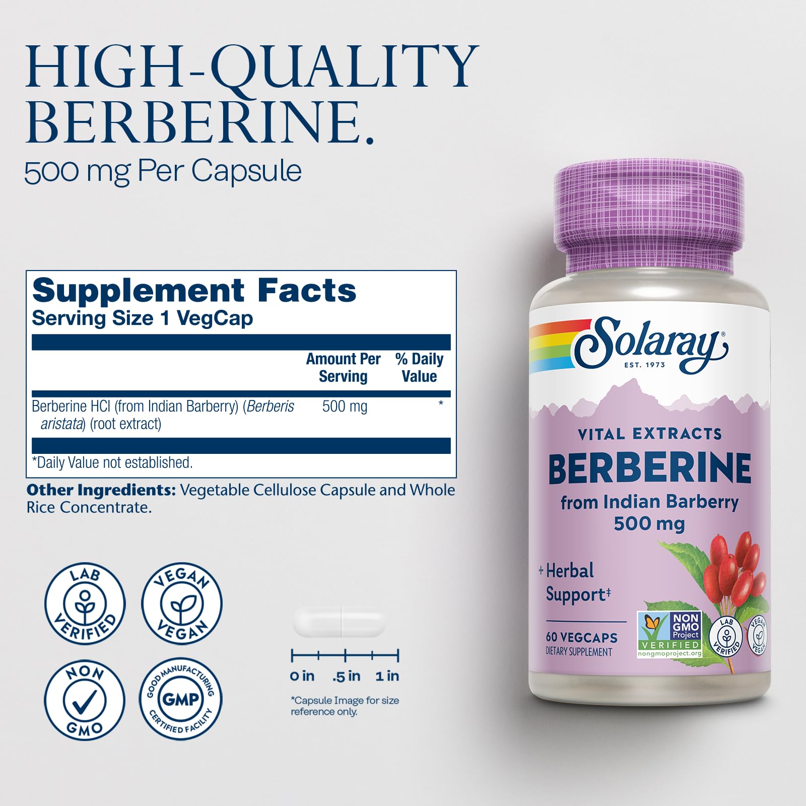 SOLARAY Berberine 500mg – Berberine Supplement for a Healthy, Active Lifestyle | 60 Servings, Vegan & Non-GMO