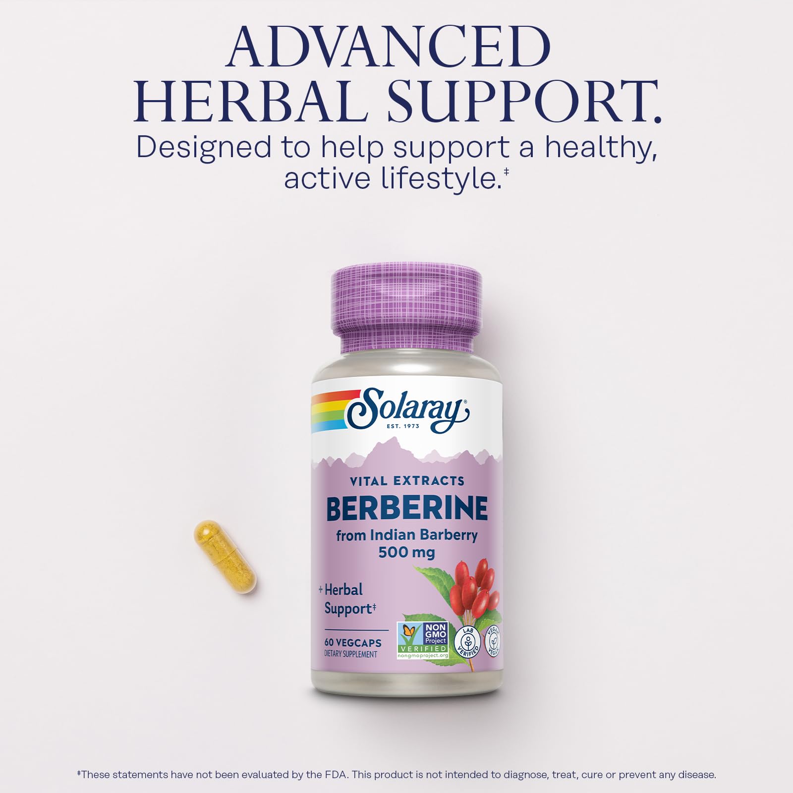 SOLARAY Berberine 500mg – Berberine Supplement for a Healthy, Active Lifestyle | 60 Servings, Vegan & Non-GMO