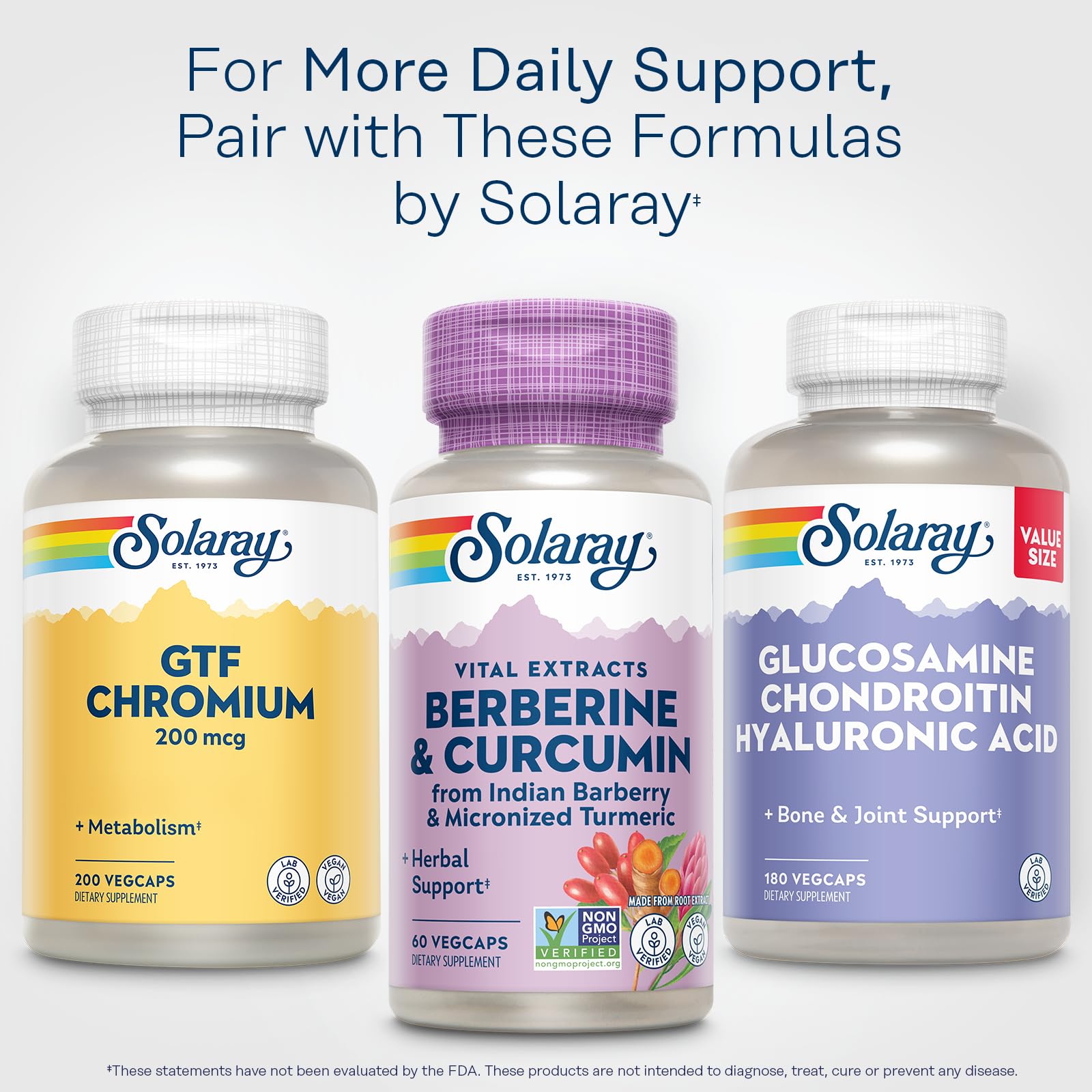 SOLARAY Berberine & Curcumin – 60 Servings, Vegan & Gluten Free