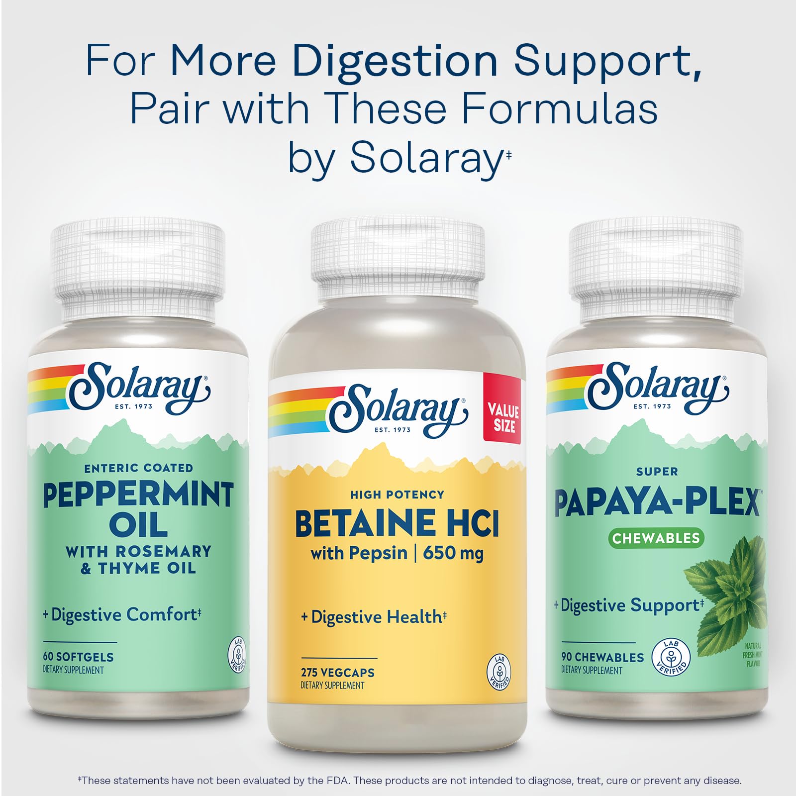 Solaray Betaine HCL with Pepsin – Digestive Enzymes for Gut Health | 60-Day Guarantee