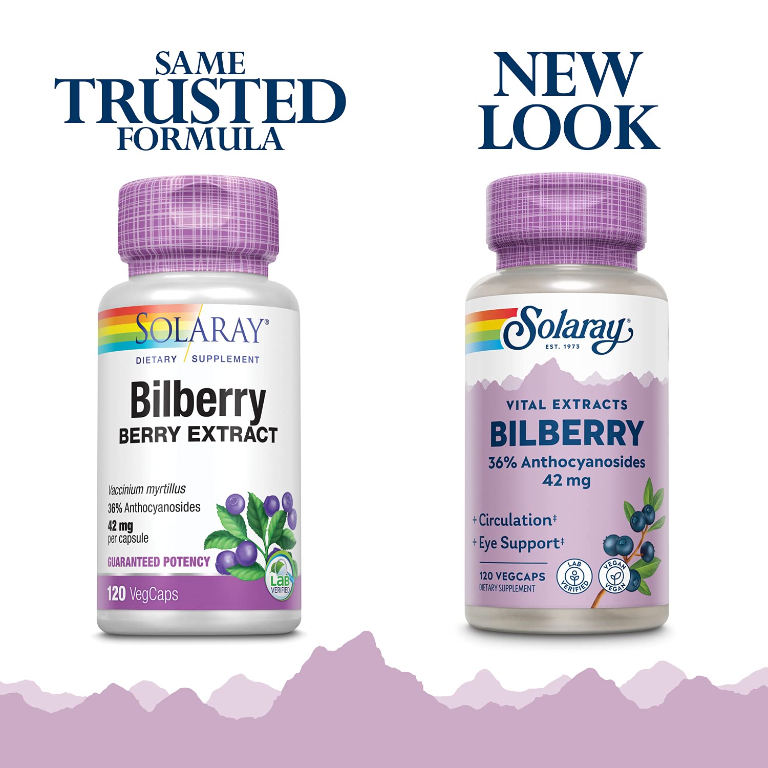 SOLARAY Bilberry 42 mg - Eye Health & Circulation (Vegan, 120 VegCaps)