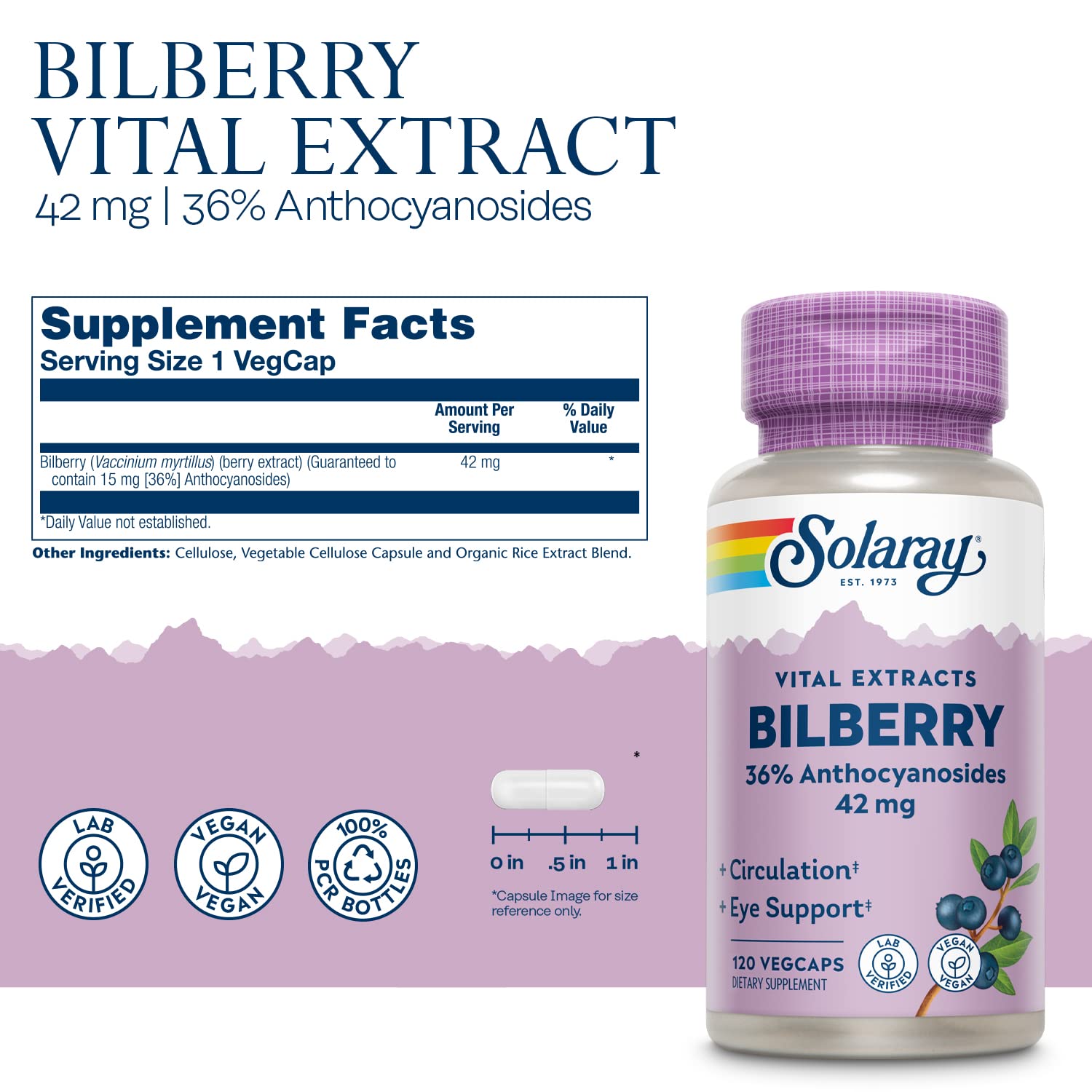 SOLARAY Bilberry 42 mg - Eye Health & Circulation (Vegan, 120 VegCaps)