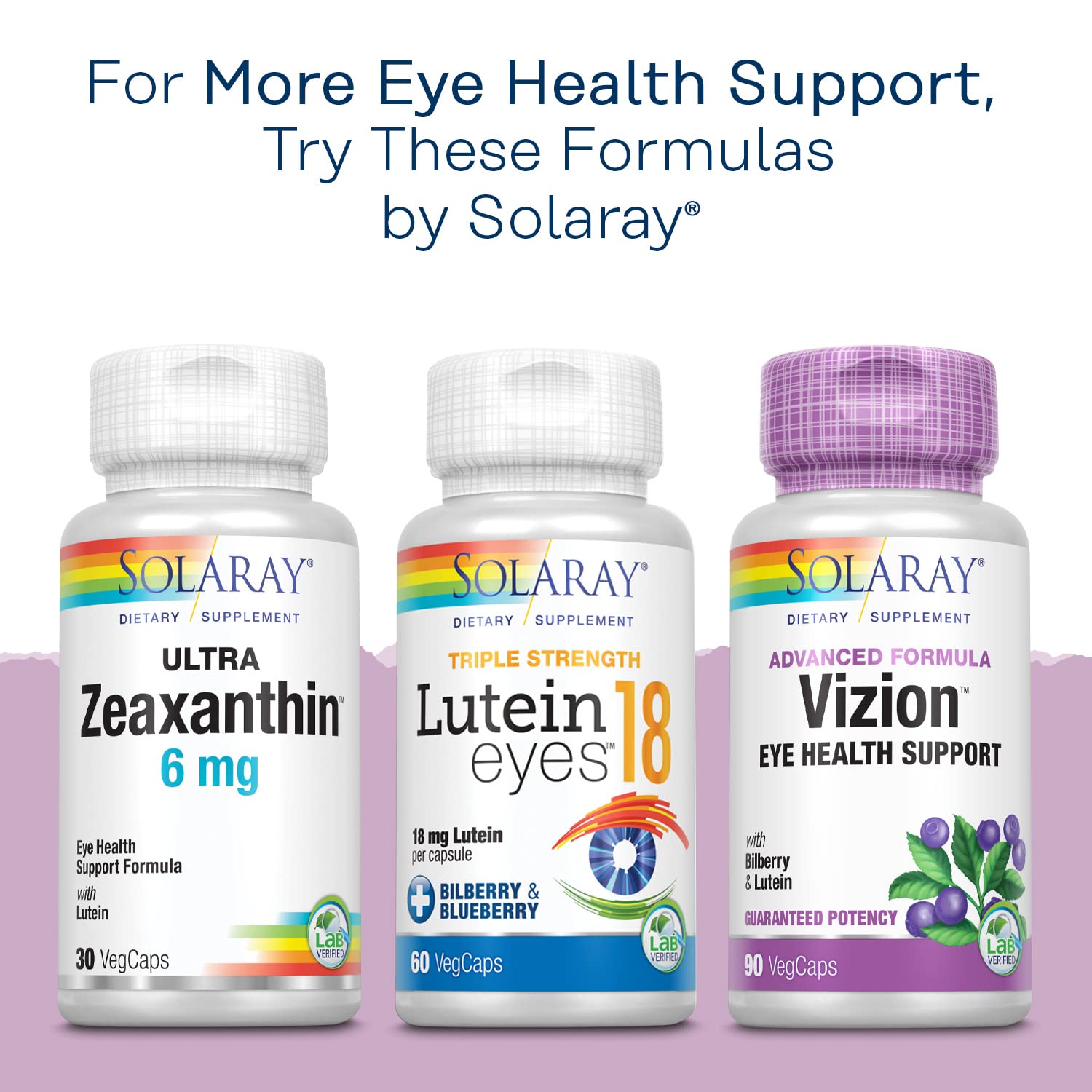 SOLARAY Bilberry 42 mg - Eye Health & Circulation (Vegan, 120 VegCaps)