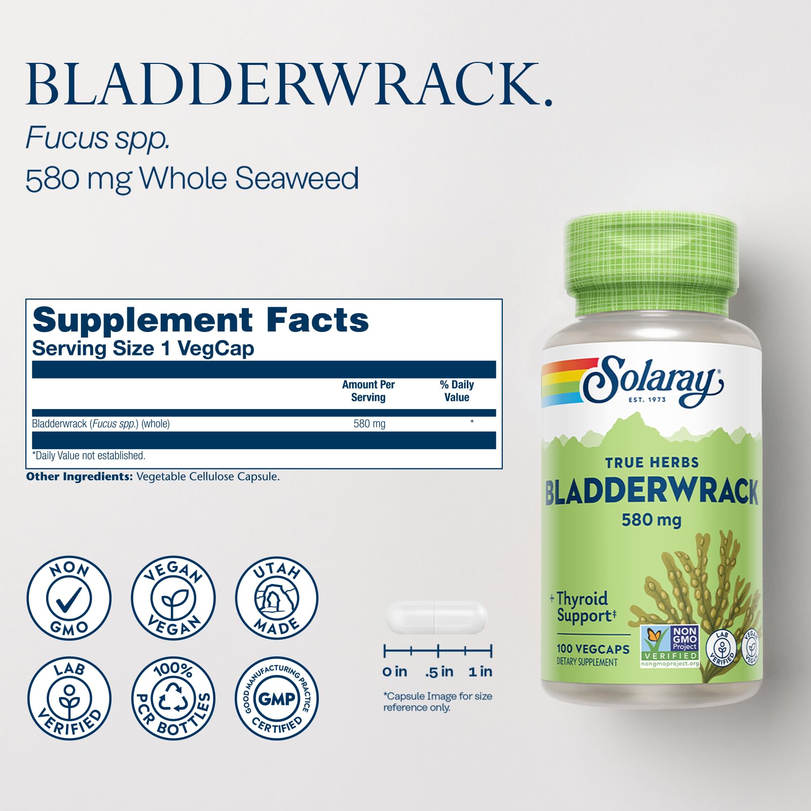 SOLARAY Bladderwrack Capsules 580 mg | Vegan Seaweed Supplement & High Iodine