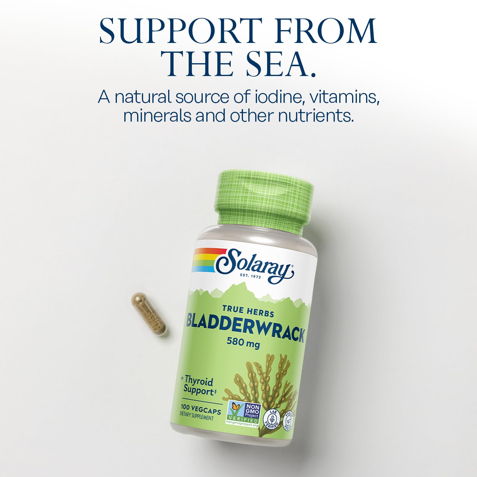 SOLARAY Bladderwrack Capsules 580 mg | Vegan Seaweed Supplement & High Iodine