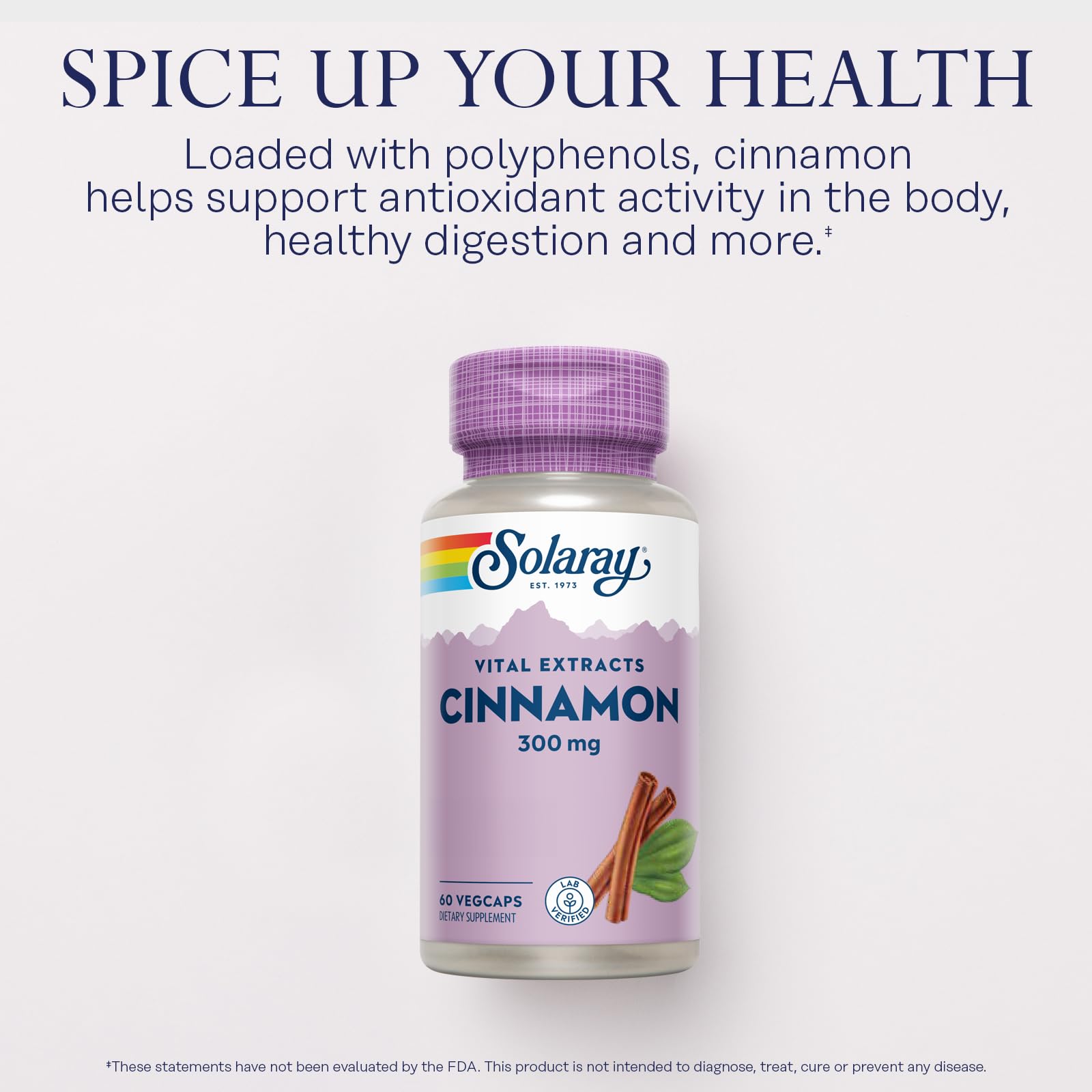 SOLARAY Cinnamon Extract 300mg - Balance & Herbal Support | 60 VegCaps