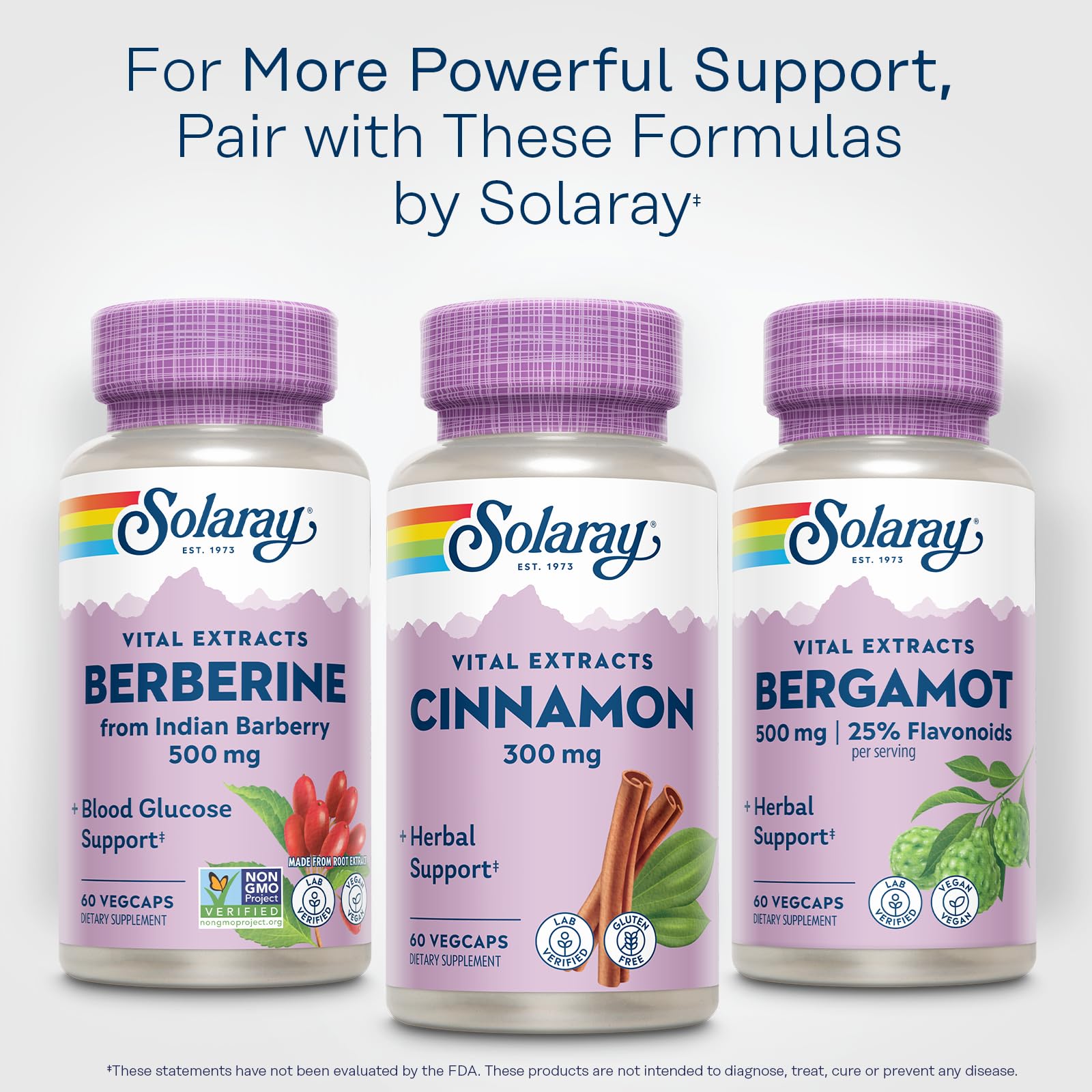 SOLARAY Cinnamon Extract 300mg - Balance & Herbal Support | 60 VegCaps