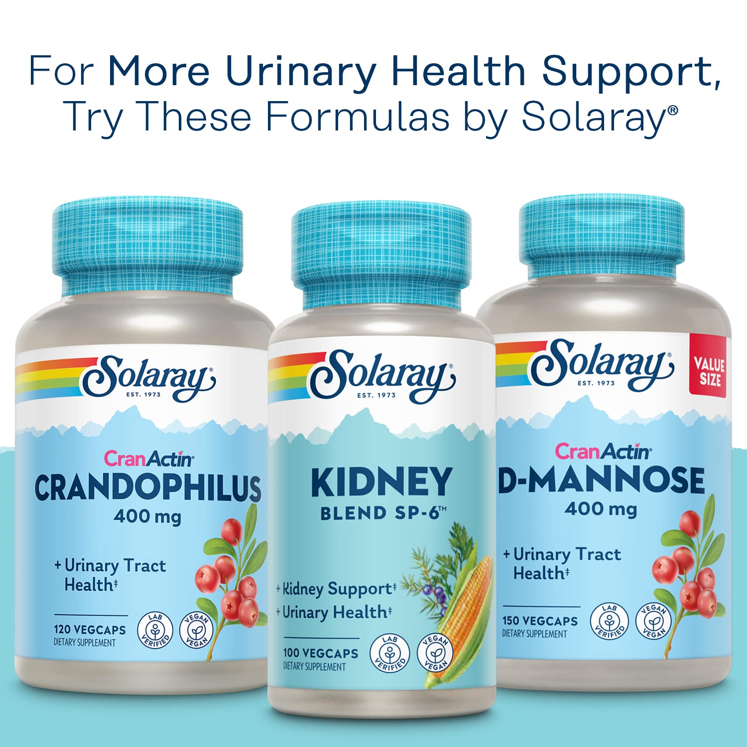 Solaray Cranactin Cranberry AF Extract Capsules 400 mg – 180 Count