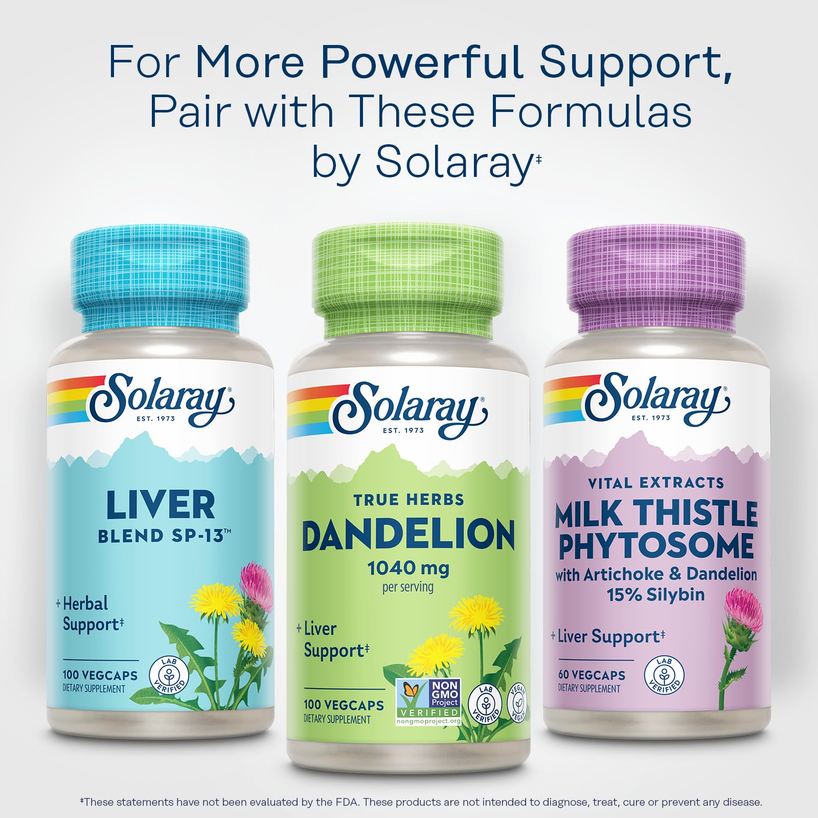 SOLARAY Dandelion Root Supplement – 1,040 mg/Serving | Kidney & Liver Support | Vegan & Lab Verified