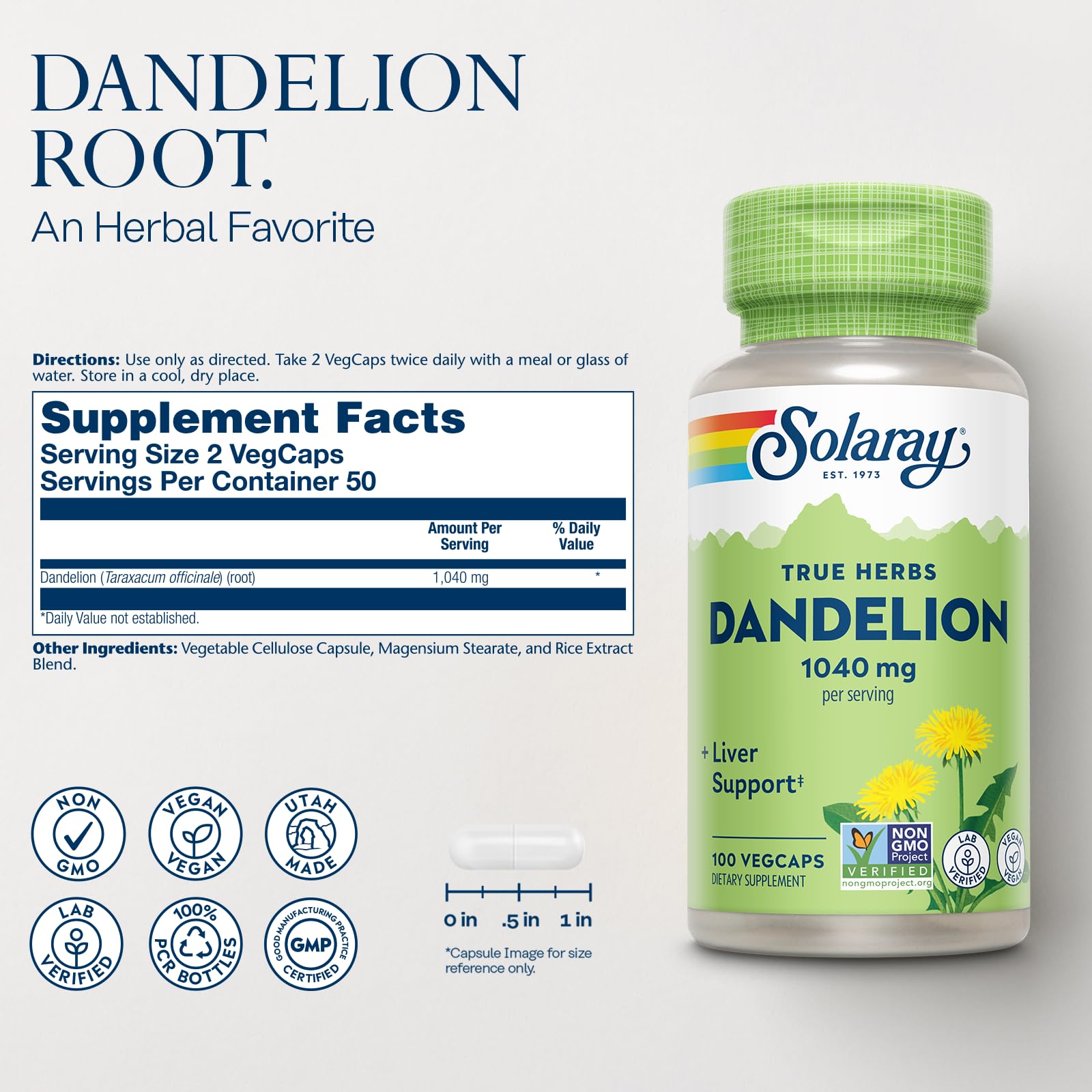 SOLARAY Dandelion Root Supplement – 1,040 mg/Serving | Kidney & Liver Support | Vegan & Lab Verified