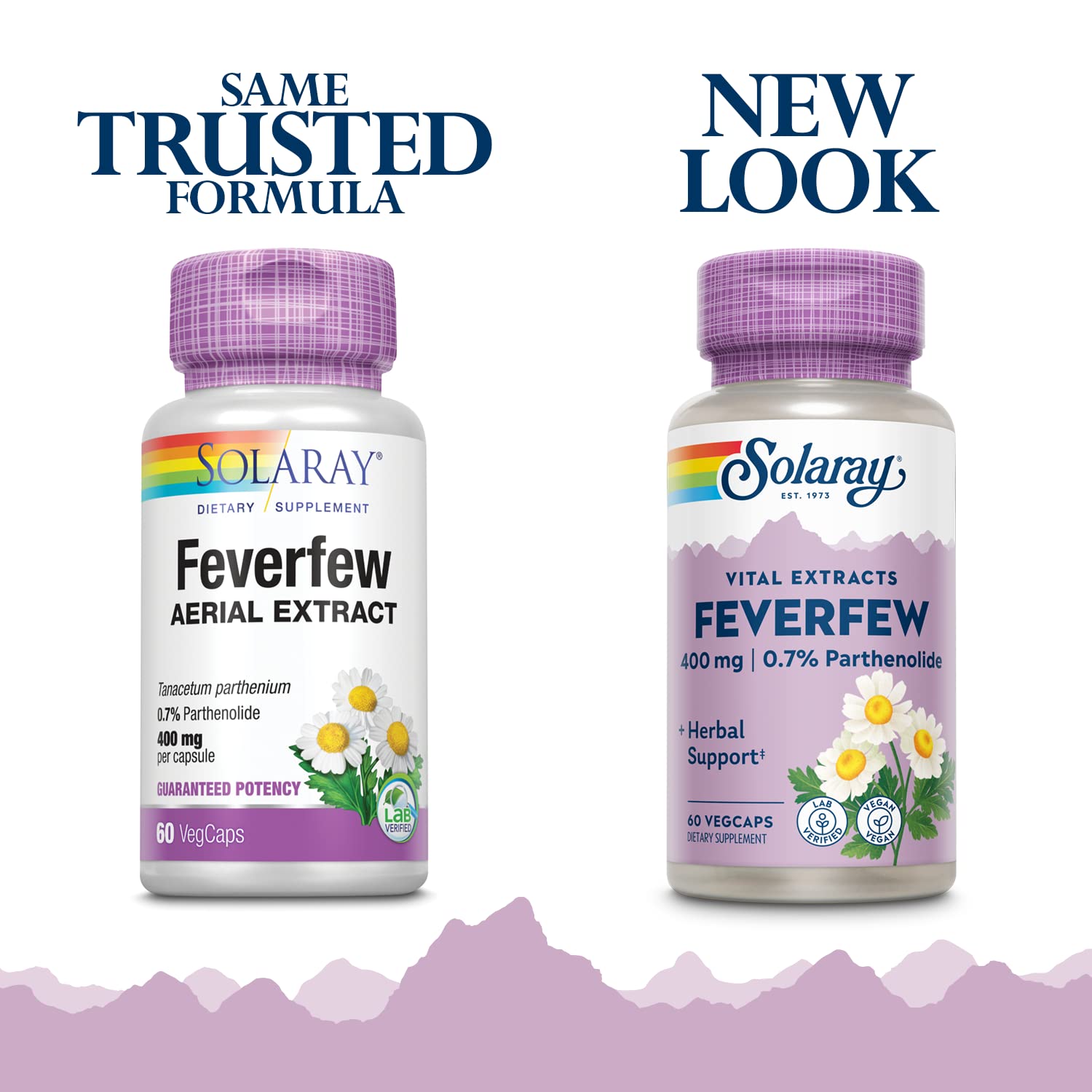 SOLARAY Feverfew Extract 400 mg | Healthy Circulation & Blood Vessels, Head Comfort Support | Non-GMO | 60 VegCaps