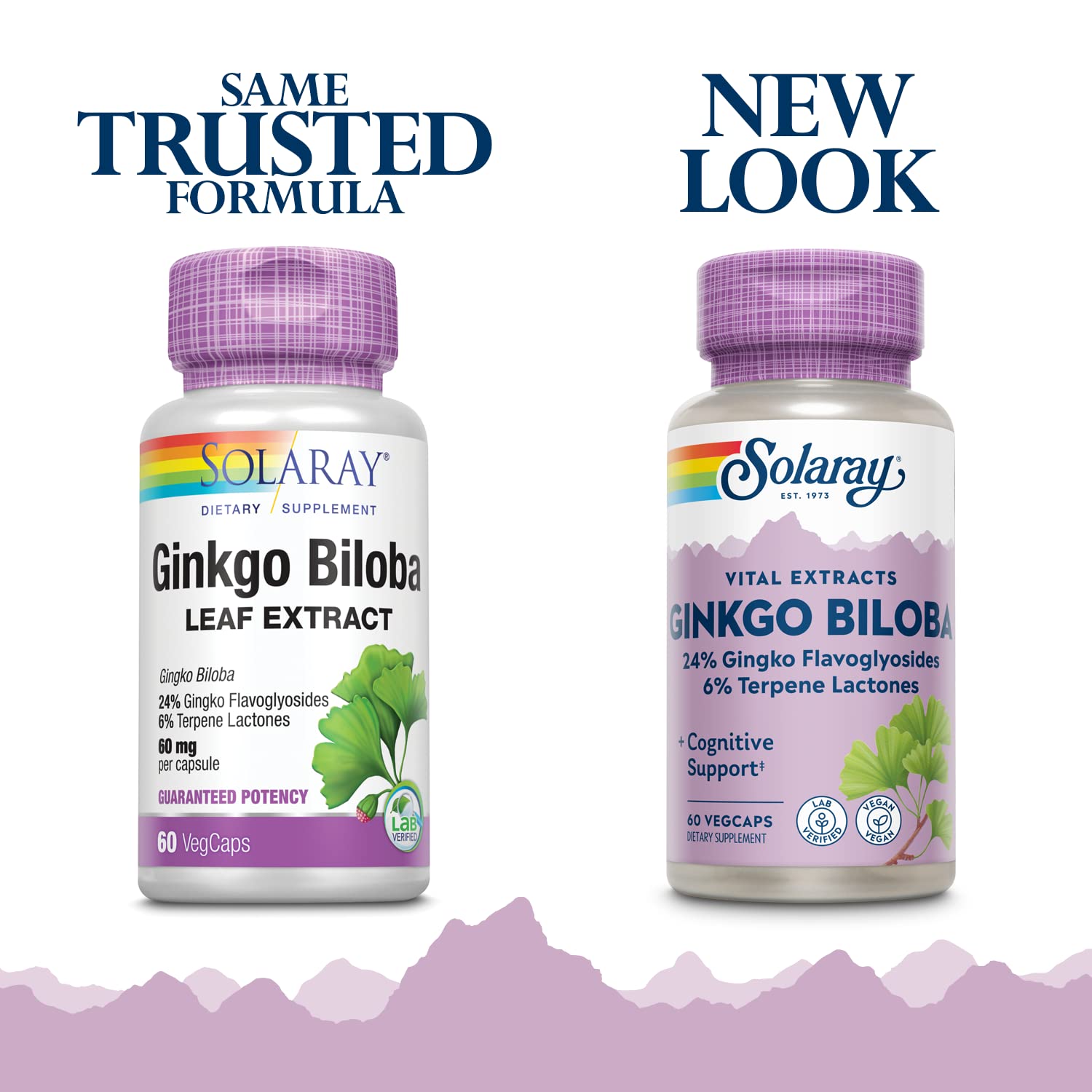 Solaray Ginkgo Biloba Extract 60 mg – 60 Count (Pack of 2) | Herbal Supplement