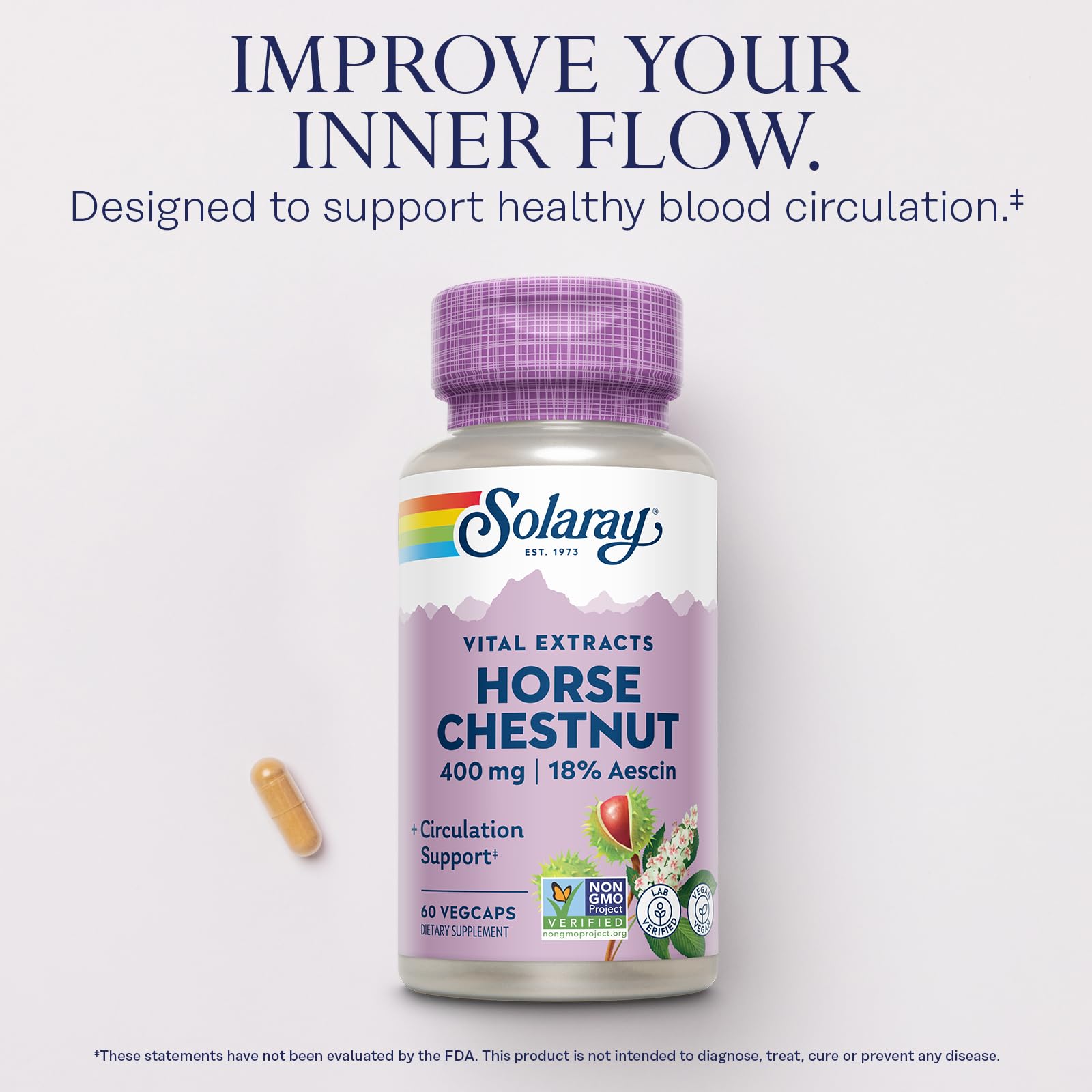 Solaray Horse Chestnut Extract 400 mg – 72 mg Aescin, 55 mg Butcher's Broom | Vein Health