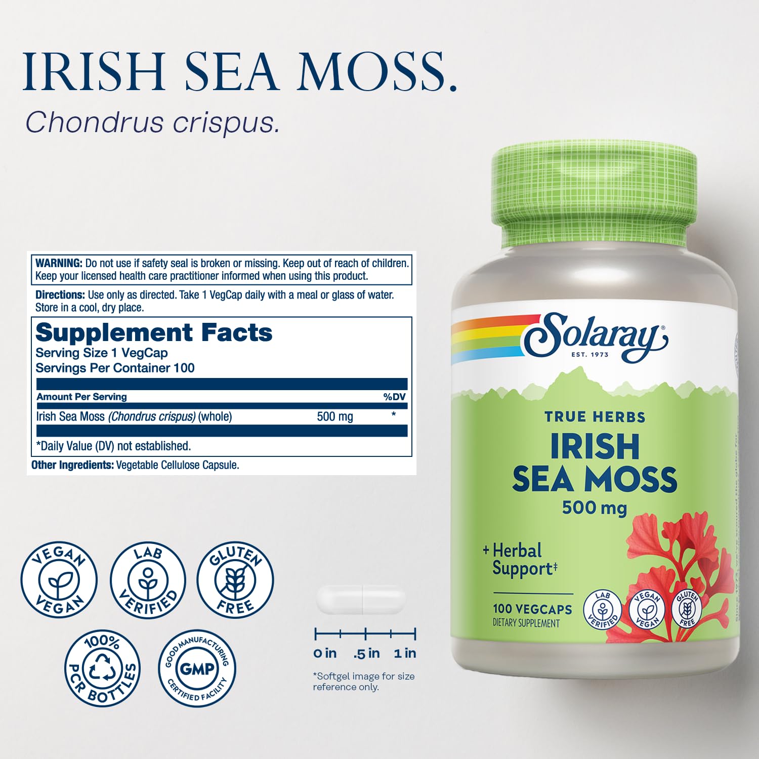 Solaray Irish Sea Moss 500 mg – Vegan, Gluten Free, Lab Verified | 60 Day Guarantee | 100 Servings, 100 VegCaps