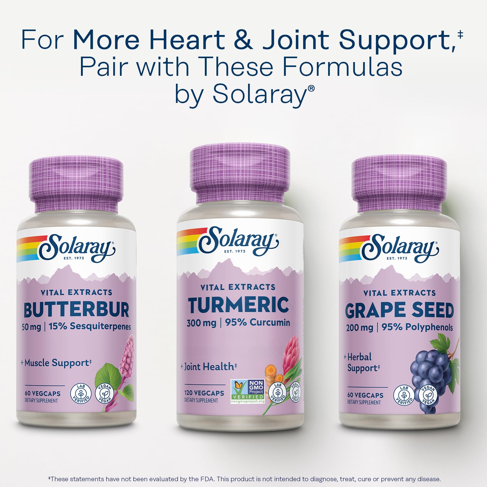 SOLARAY Turmeric 300 mg – Joint Support (95% Curcumin) – Vegan, Lab Verified, 120 CT