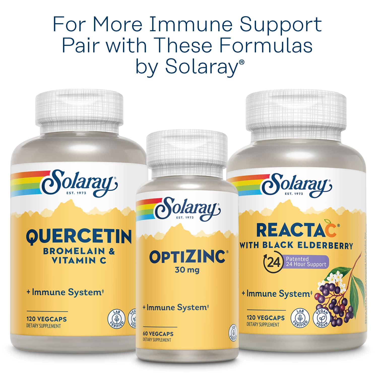 Solaray L-Lysine Monolaurin Immune Support – 500 mg, 60 VegCaps, 30 Servings