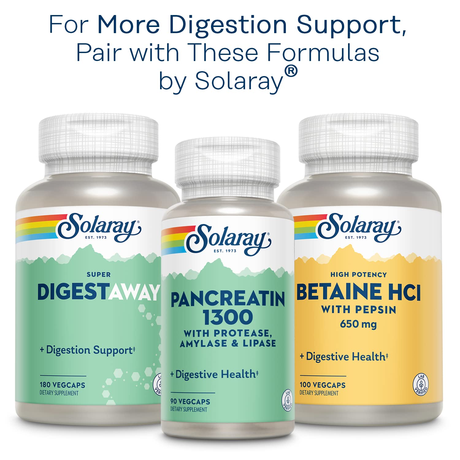 Solaray Mastic Gum Extract 500 mg - 45 Count | Digestive Health