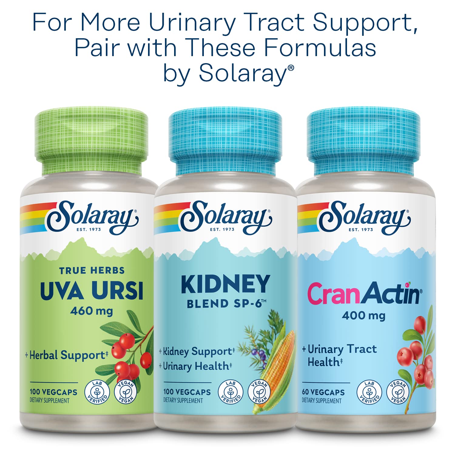 SOLARAY Nettle Leaf 450mg – Kidney, Urinary & Prostate Support | Respiratory Wellness (180 CT)