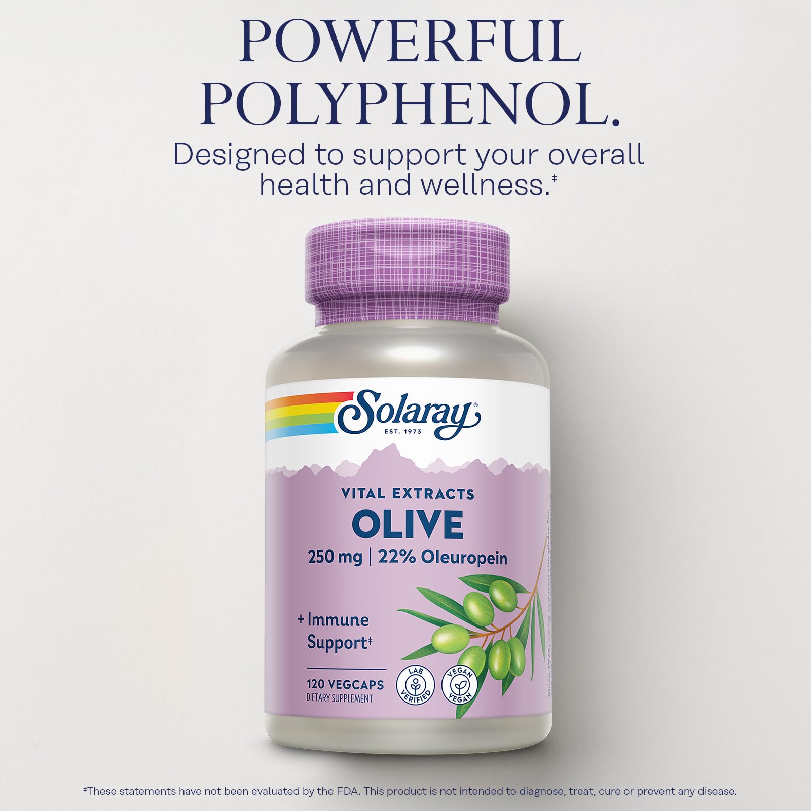 SOLARAY Olive Leaf Extract 250mg Capsules - 22% Oleuropein, Lemon Balm, Vegan, 120 Servings