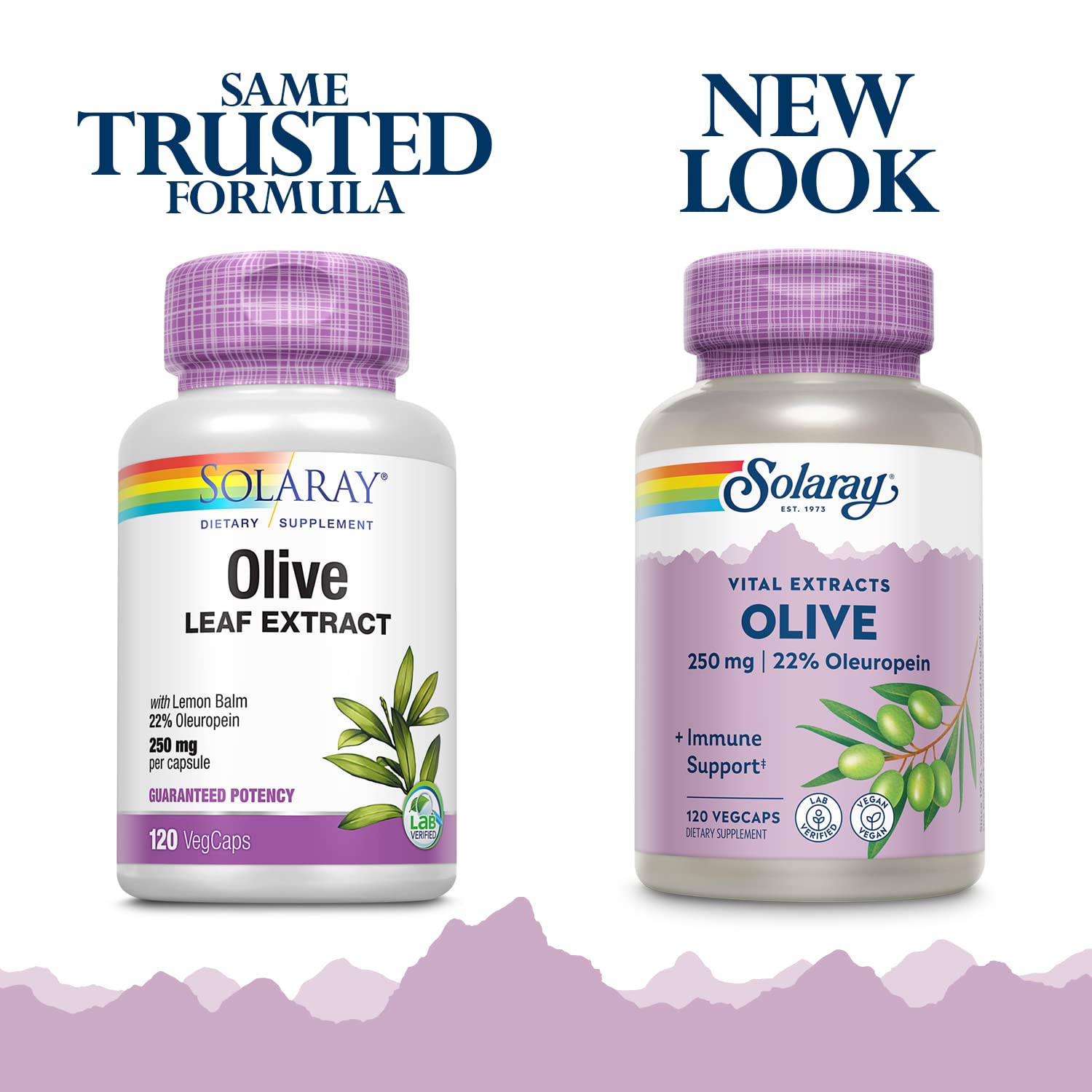 SOLARAY Olive Leaf Extract 250mg Capsules - 22% Oleuropein, Lemon Balm, Vegan, 120 Servings