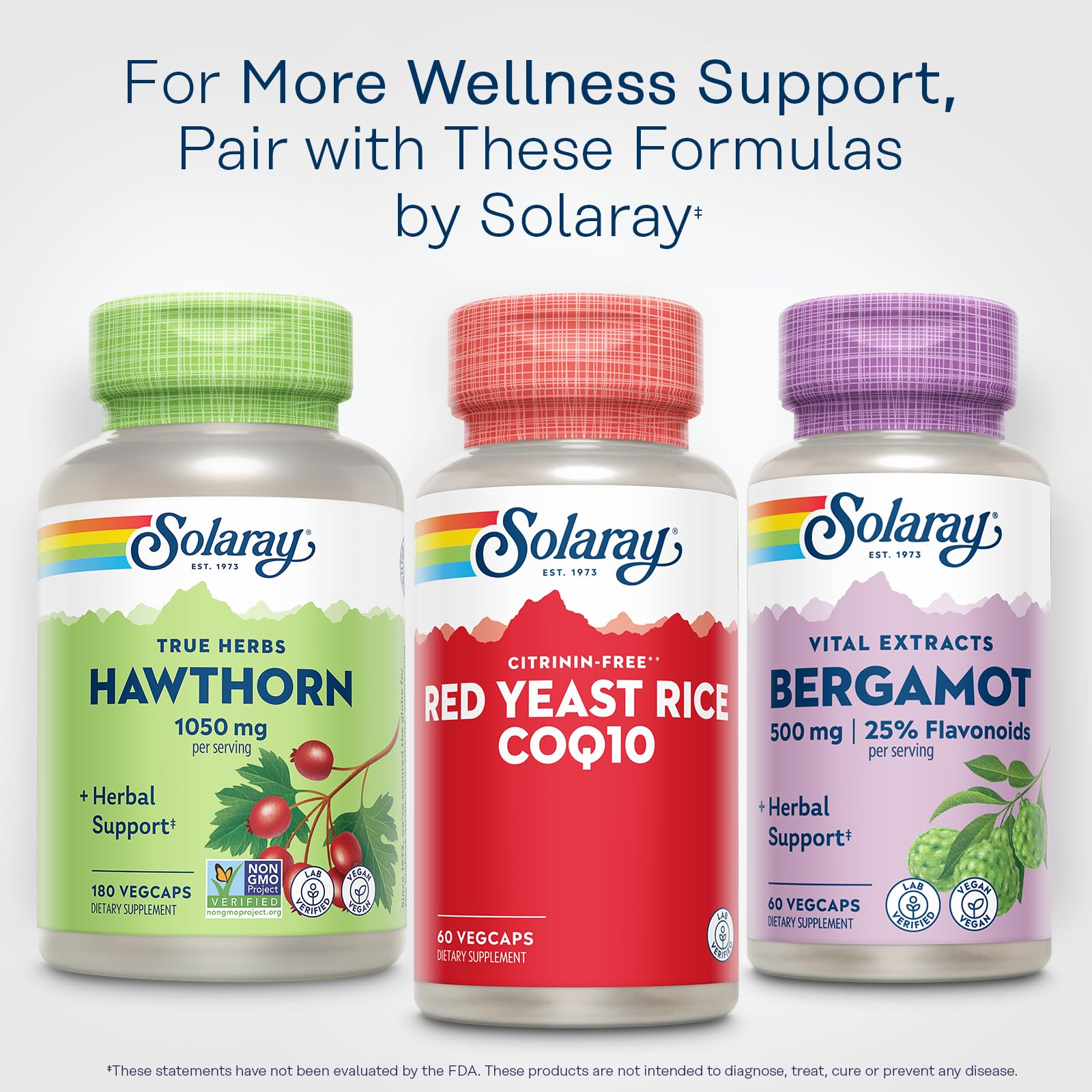 SOLARAY Red Yeast Rice Plus CoQ-10 & No-Flush Niacin - 60 Servings